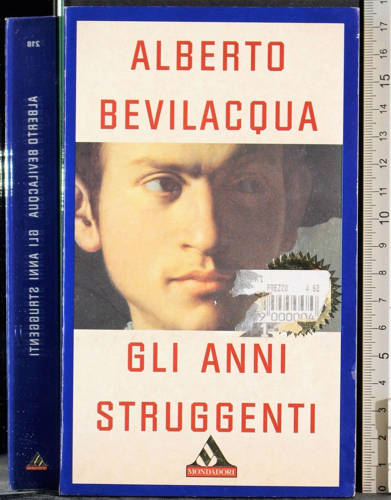 Gli anni struggenti book