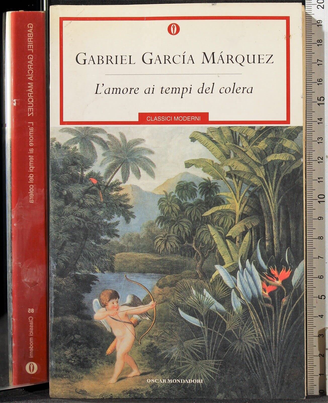 L'amore ai tempi del colera book