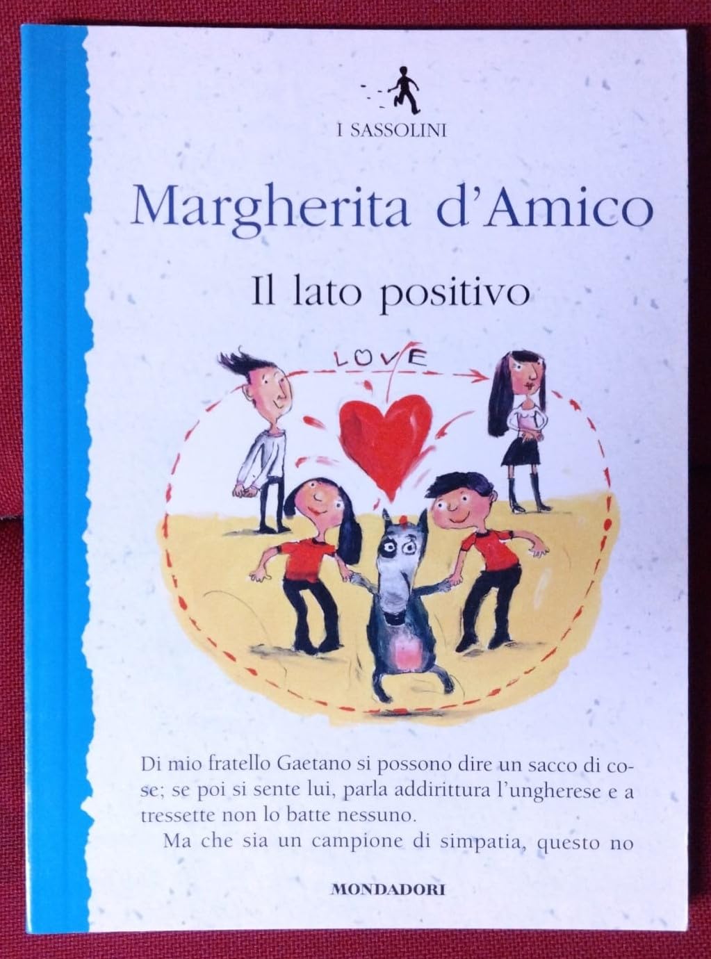 Il lato positivo. Ediz. illustrata book