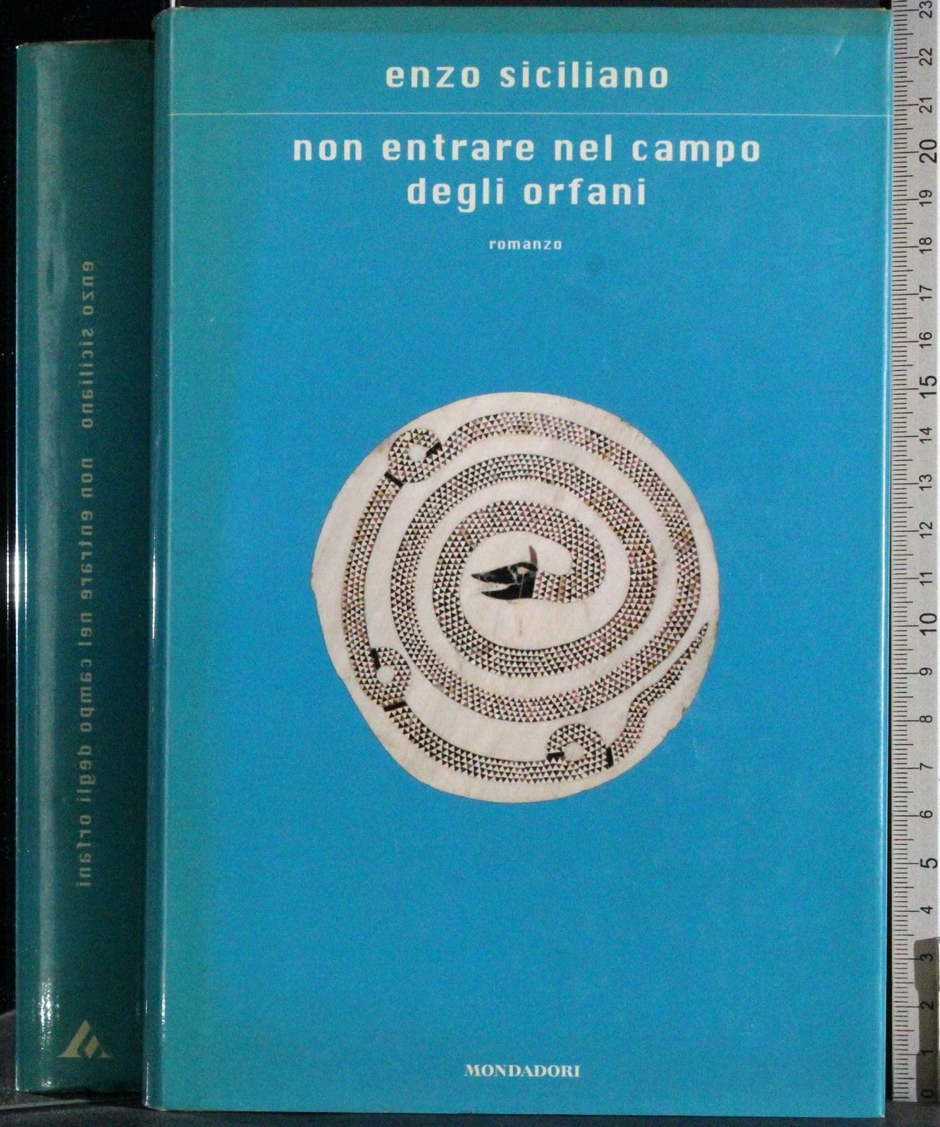 Non entrare nel campo degli orfani (Scrittori italiani e stranieri) Contemporary literature