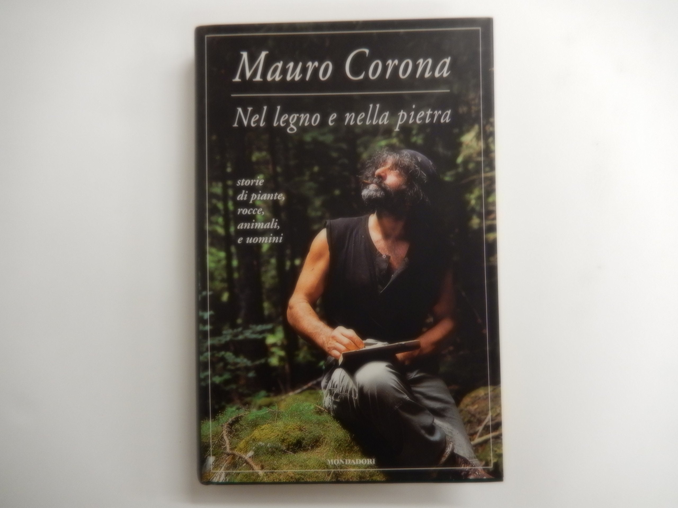 Nel legno e nella pietra (Omnibus italiani) Contemporary literature