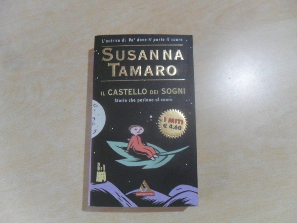 Il castello dei sogni. Storie che parlano al cuore book