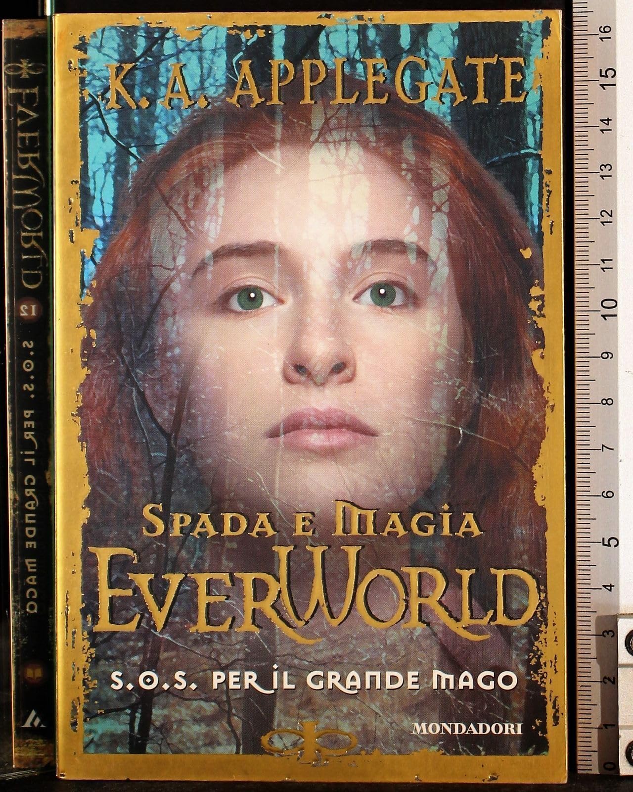S.o.s. per il Grande Mago (Everworld, Band 12) Novels & Short Stories
