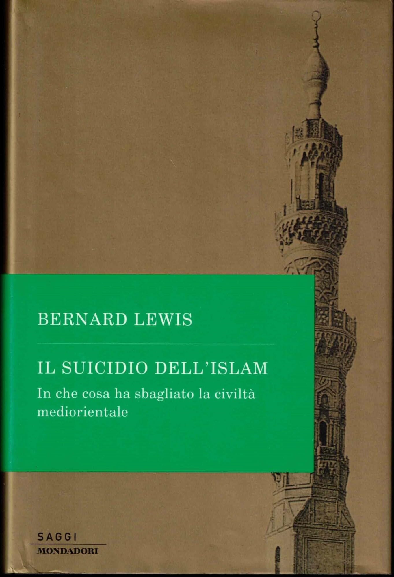 Il suicidio dell'Islam. In che cosa ha sbagliato la civiltà mediorientale (Saggi) Social Sciences