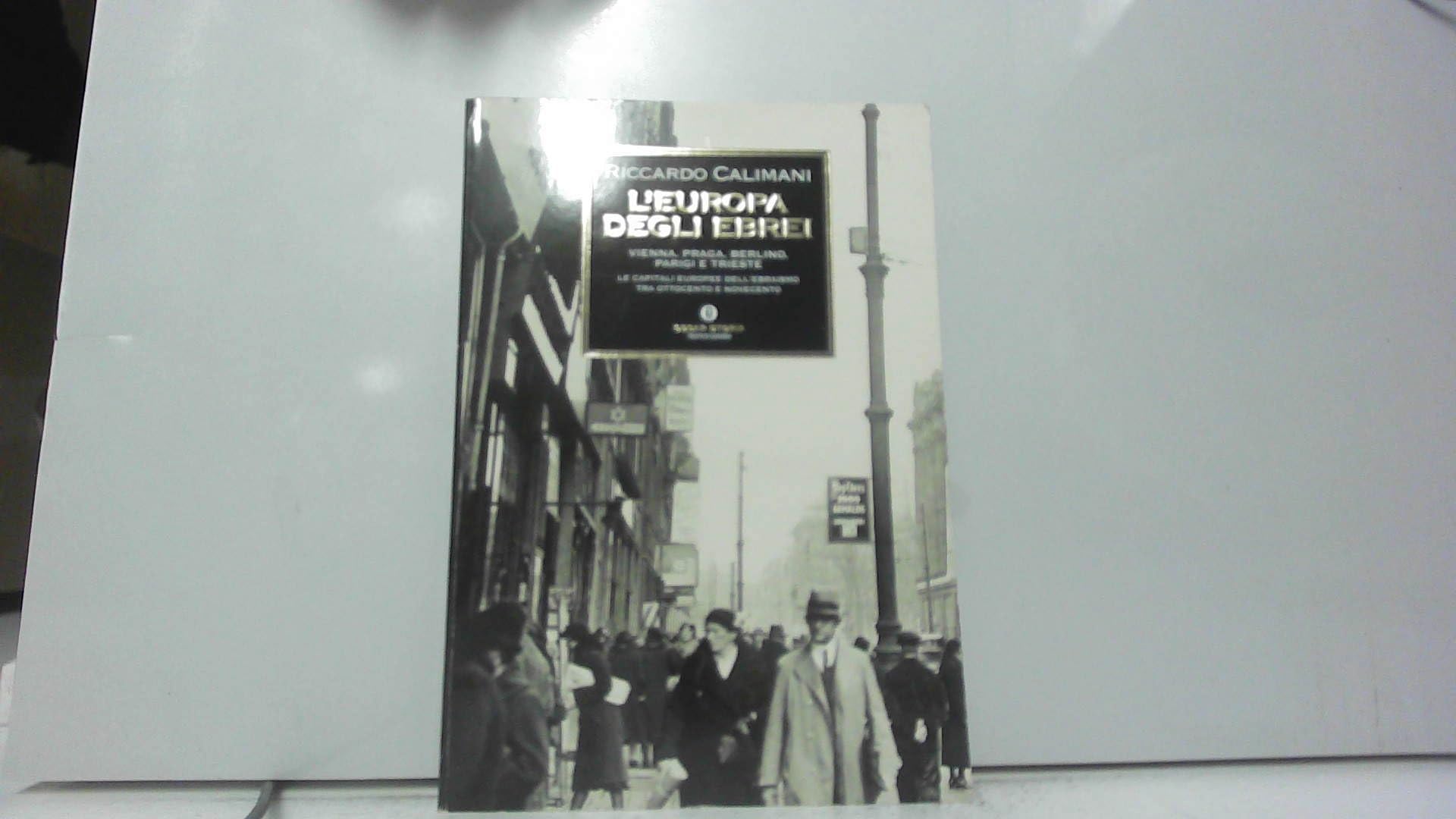 L'Europa degli ebrei. Vienna, Praga, Berlino, Parigi e Trieste: le capitali europee dell'ebraismo tra Ottocento e Novecento (Oscar storia) German history