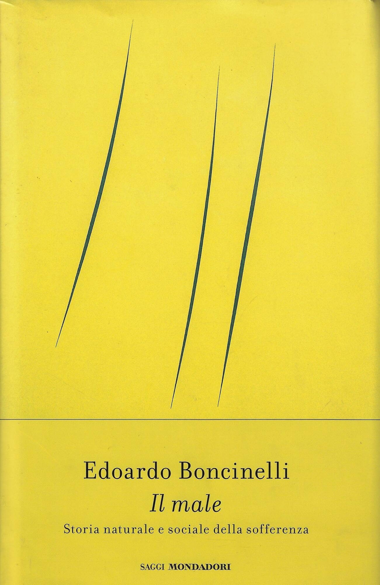 Il male. Storia naturale e sociale della sofferenza book