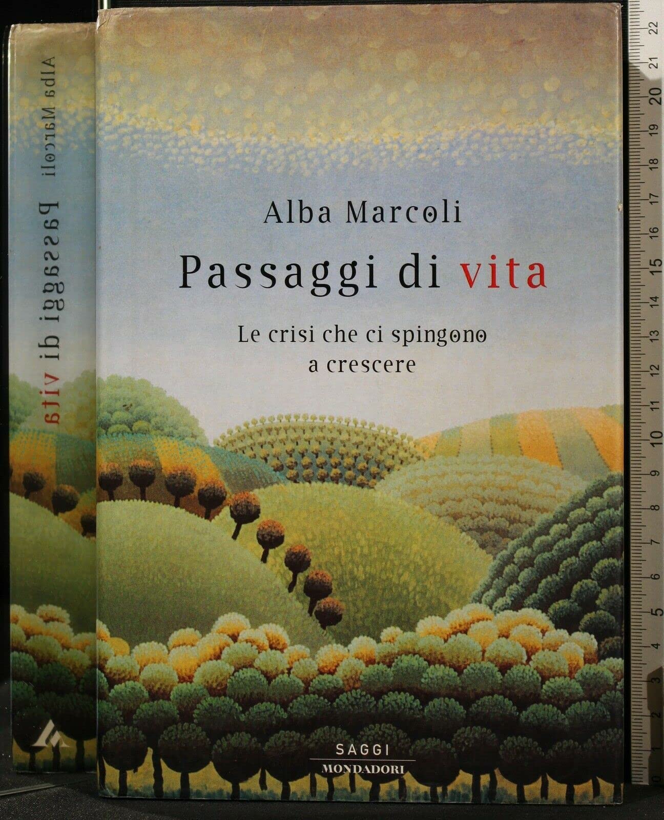 Passaggi Di Vita. Le Crisi Che Ci S cd