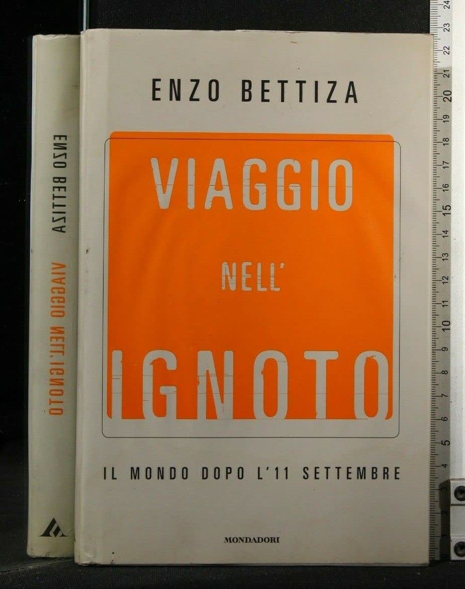 Viaggio nell'ignoto. Il mondo dopo l'11 settembre (Varia) Politics & History