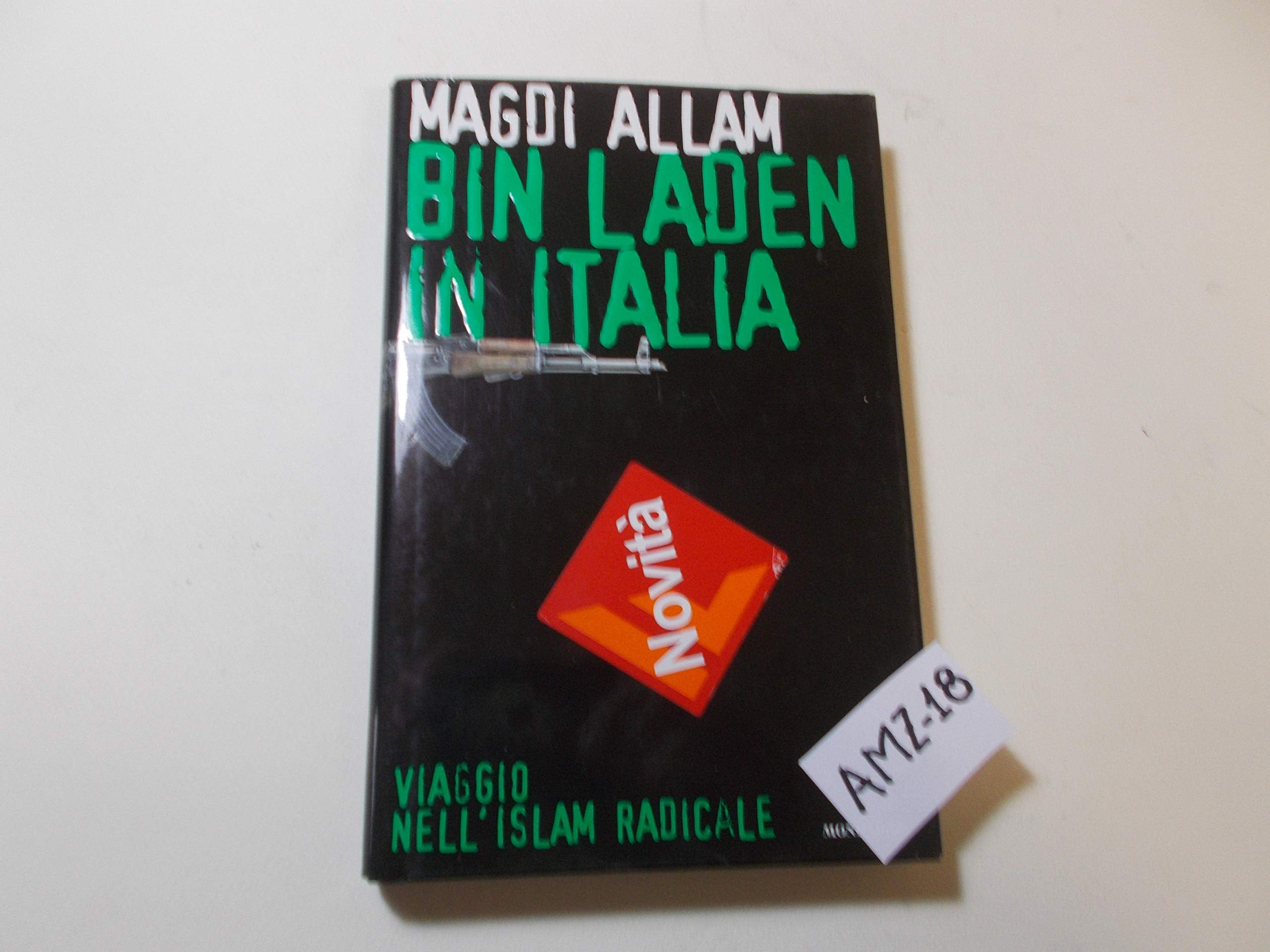 Bin Laden in Italia. Viaggio nell'islam radicale (Frecce) Politics & History