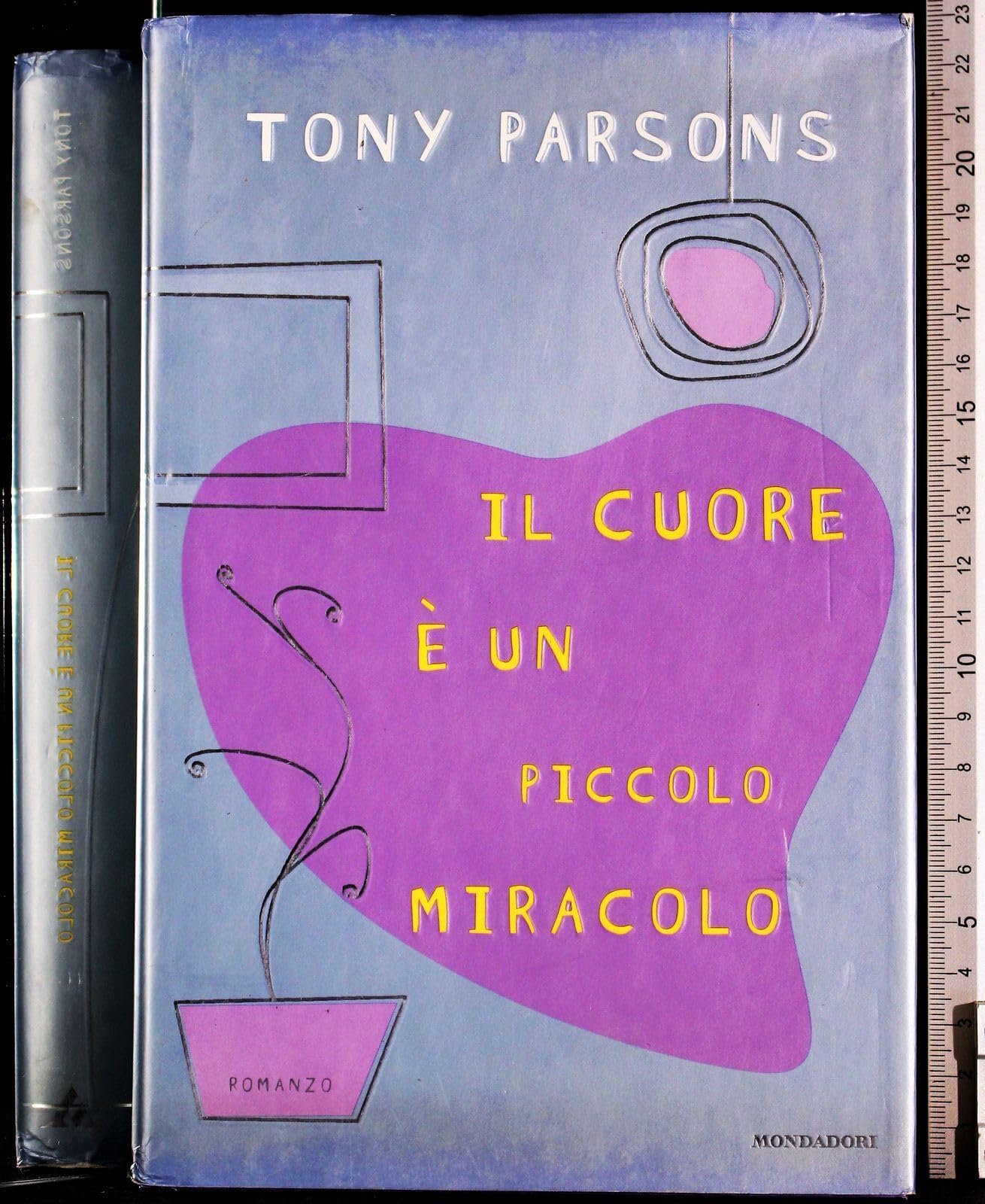 Il cuore è un piccolo miracolo (Omnibus stranieri) Contemporary literature