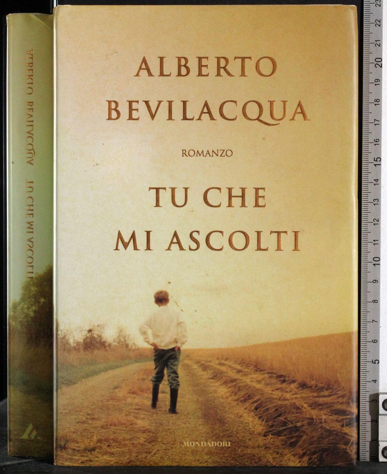 Tu che mi ascolti (Scrittori italiani e stranieri) Contemporary literature