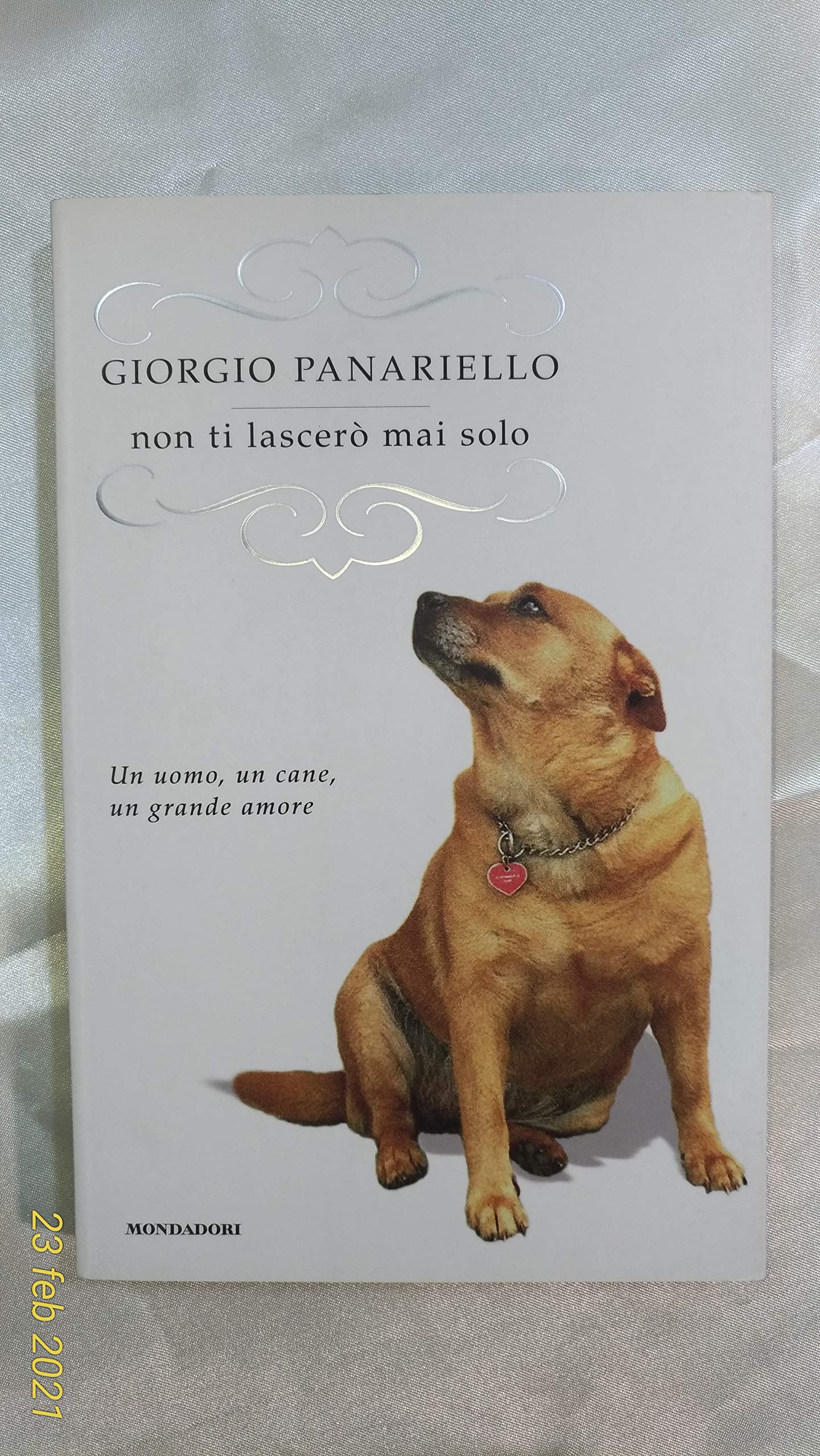 Non ti lascerò mai solo Contemporary literature