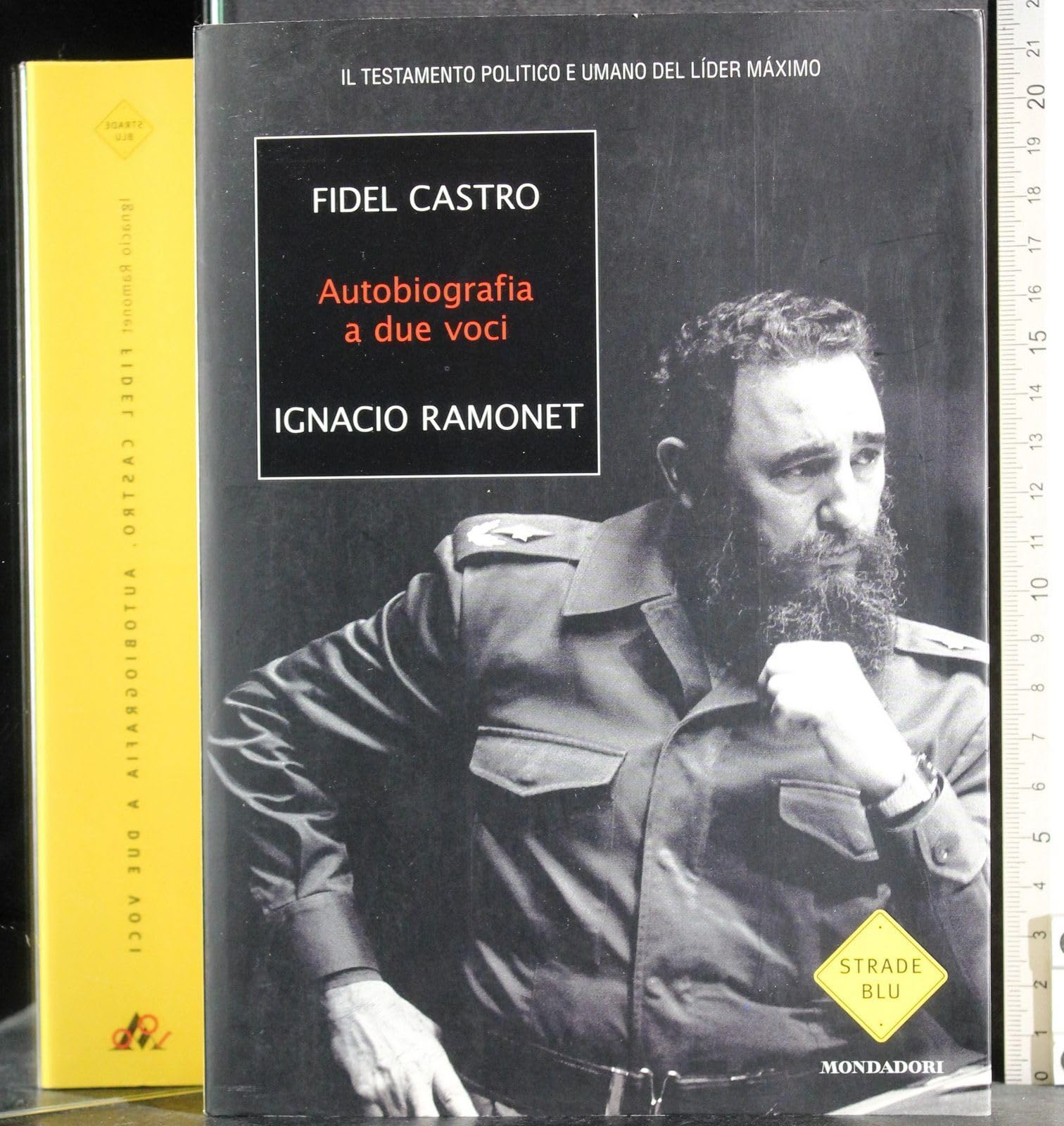 Autobiografia a due voci (Strade blu. Non Fiction) Memories