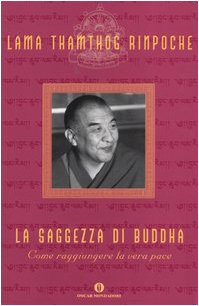 La saggezza di Buddha. Come raggiungere la vera pace book