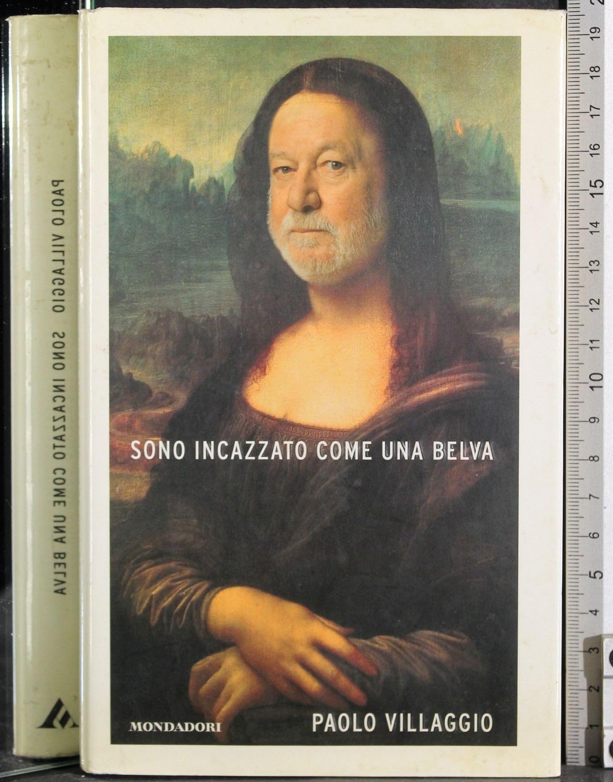 Sono incazzato come una belva Contemporary literature