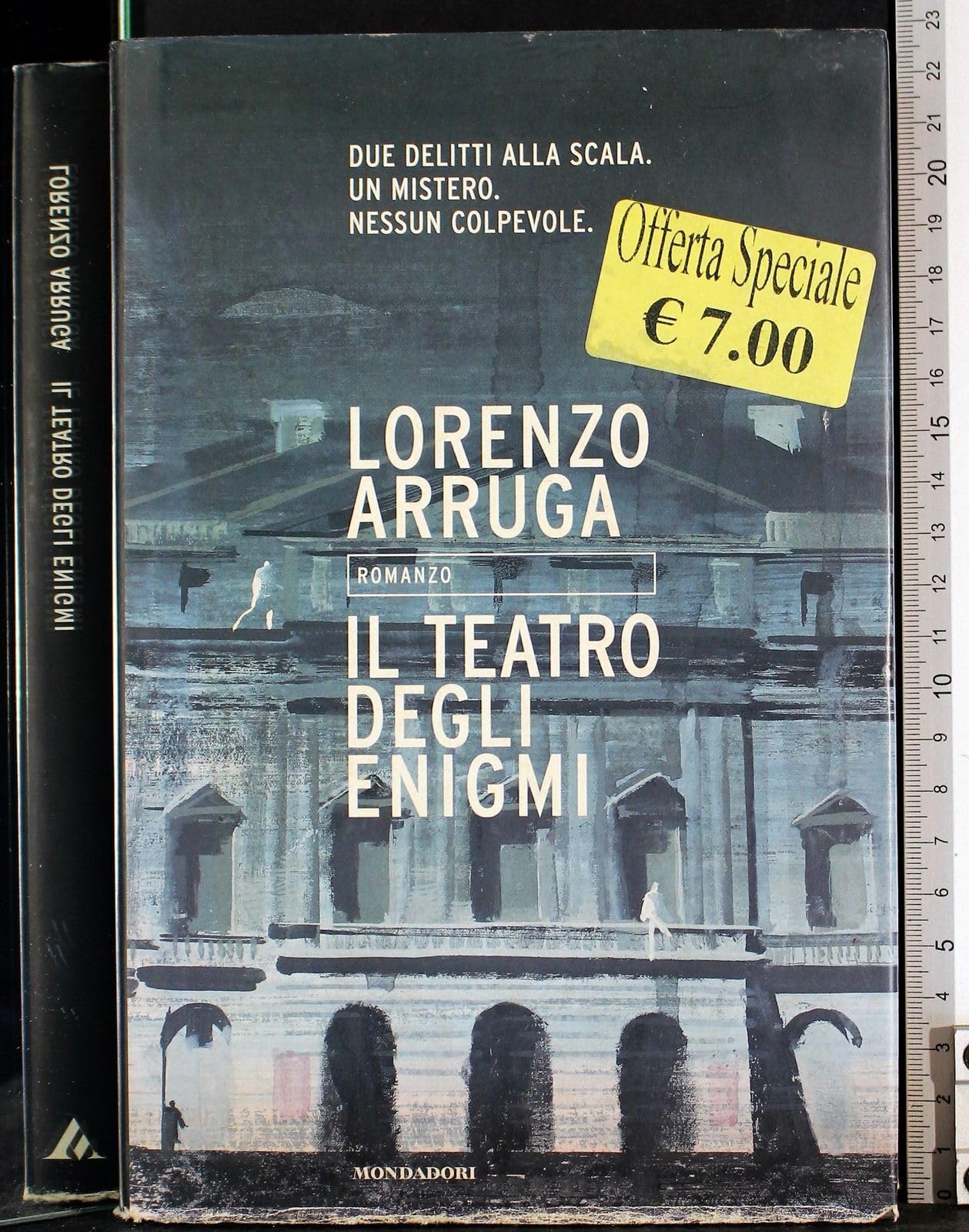 Il teatro degli enigmi (Omnibus) Contemporary literature