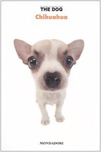Chihuahua. The dog (Vol. 8) Pets