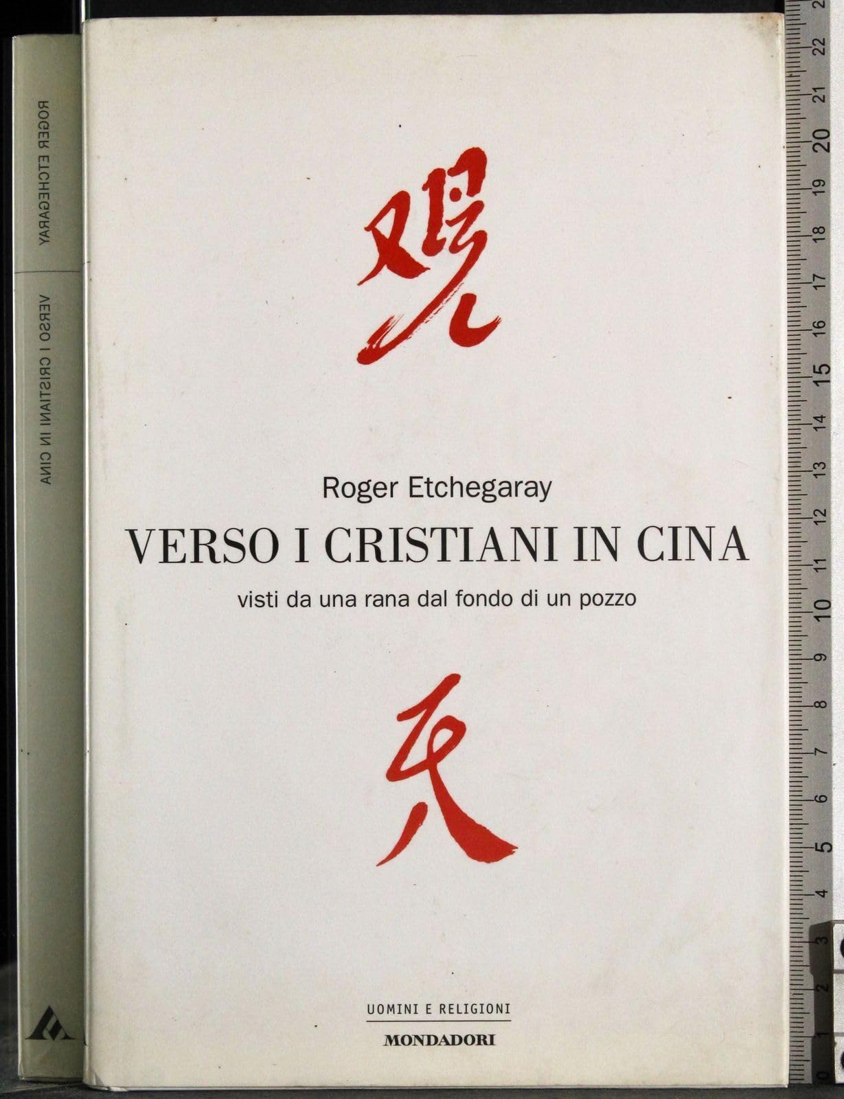 Verso i cristiani in Cina. Visti da una rana dal fondo di un pozzo (Uomini e religioni) Religion & Esotericism