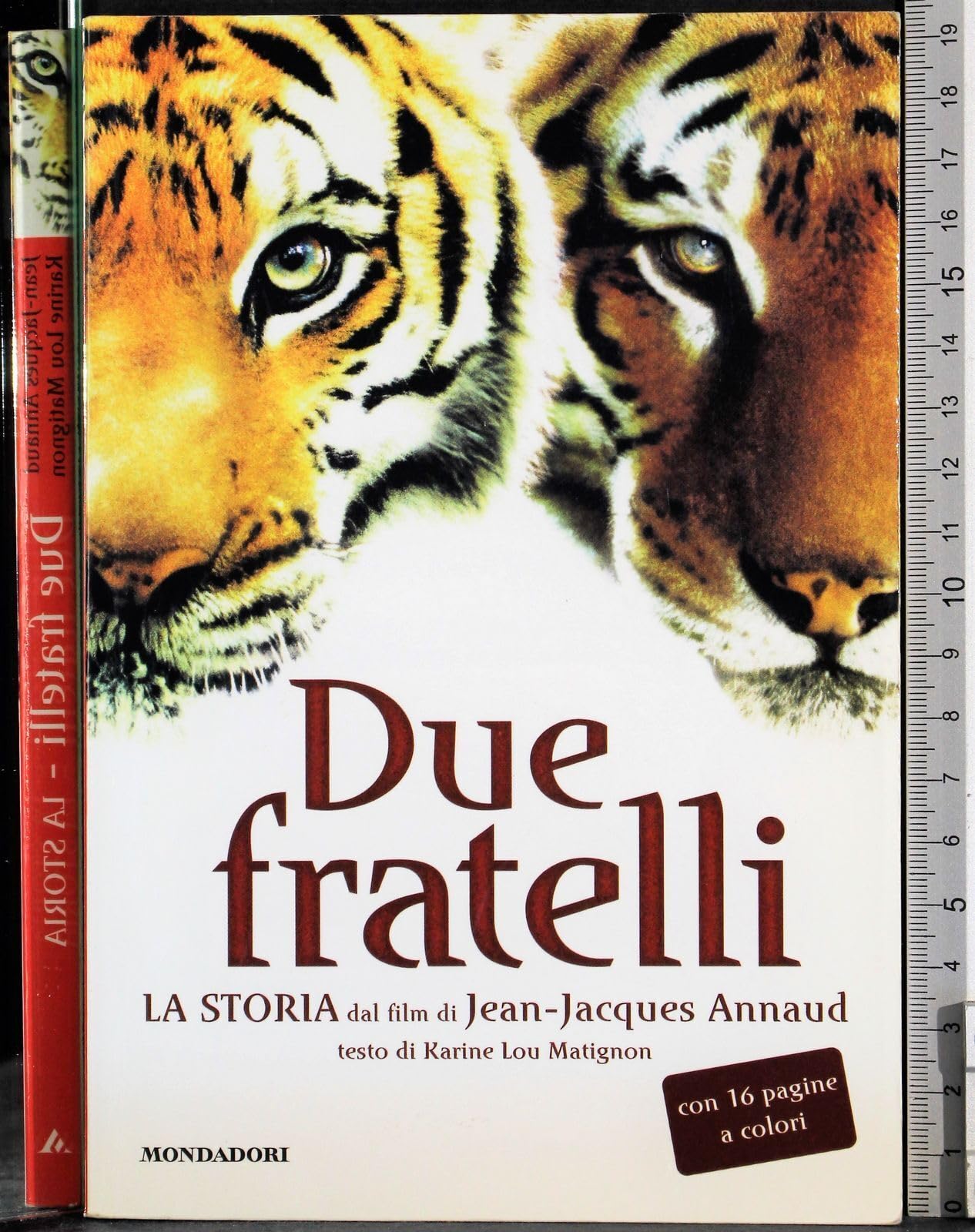 Due fratelli. La storia dal film di Jean-Jacques Annaud Novels & Short Stories