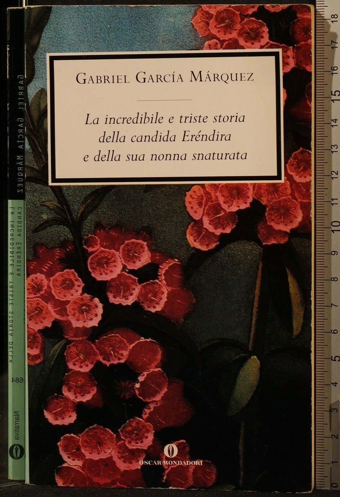 L'incredibile e triste storia della candida Erendira e della su nonna snaturata (Oscar scrittori moderni, Band 684) Essays & Short Stories