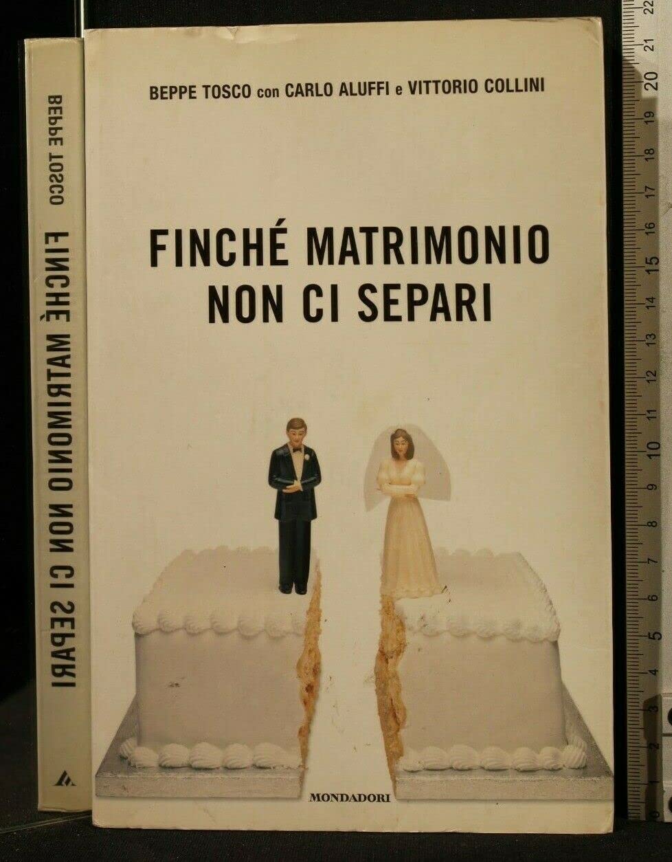 Finché matrimonio non ci separi. I dialoghi di Beppe (Tosco) e Luciana (Littizzetto) (Biblioteca umoristica Mondadori) Leisure, Home & Garden