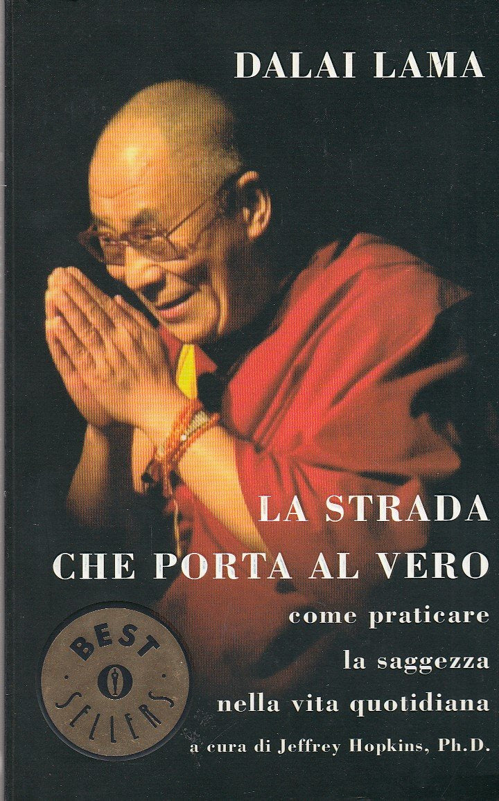 La strada che porta al vero. Come praticare la saggezza nella vita quotidiana book
