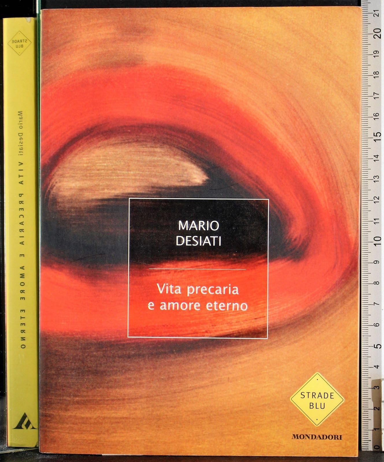 Vita precaria e amore eterno (Strade blu. Fiction) Contemporary literature