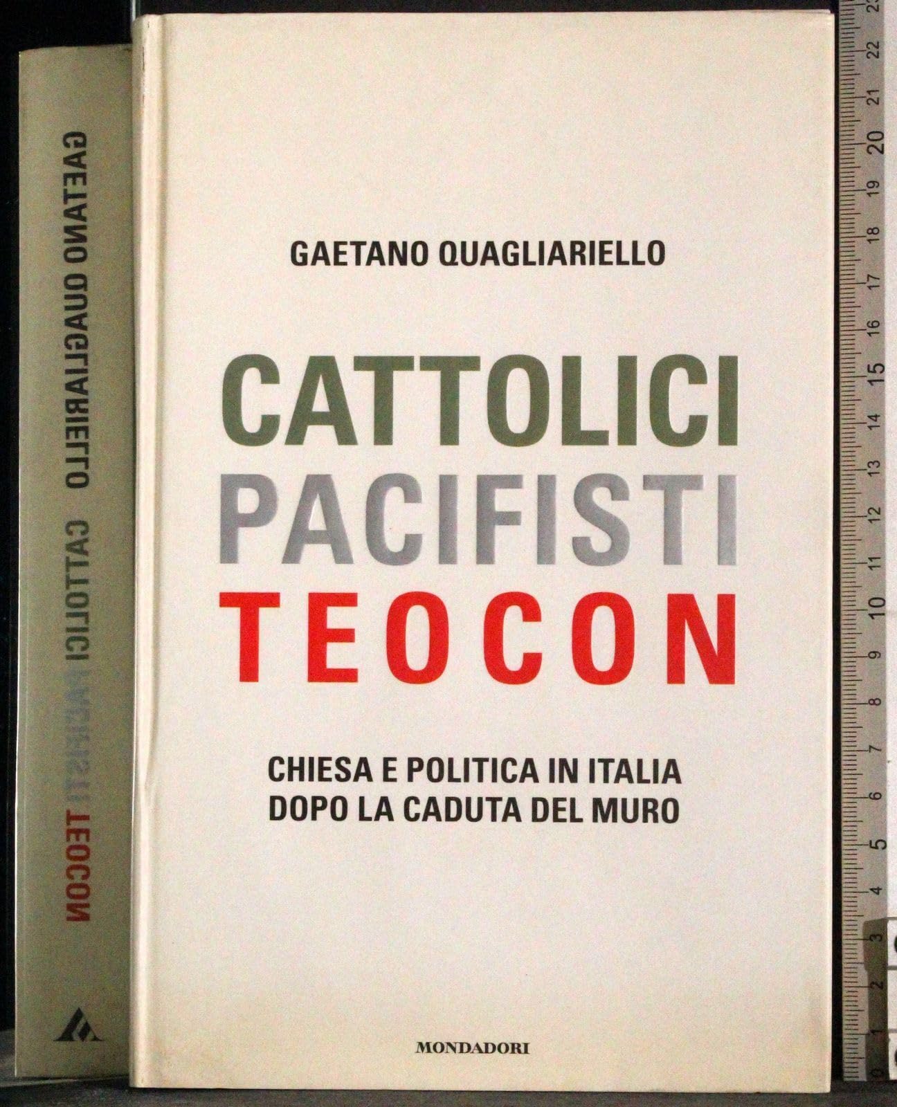 Cattolici, pacifisti, teocon. Chiesa e politica in Italia dopo la caduta del muro (Frecce) Religion & Esotericism