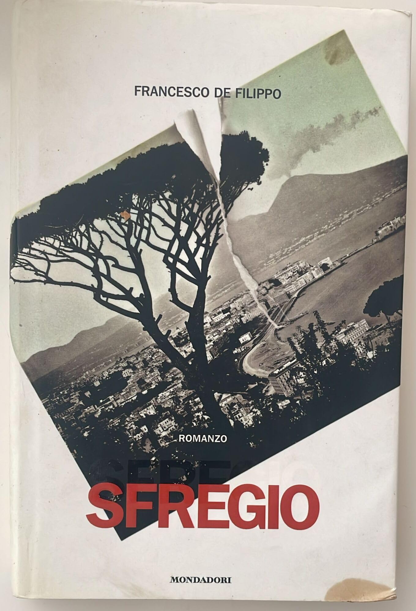 Sfregio (Varia di letteratura) Contemporary literature
