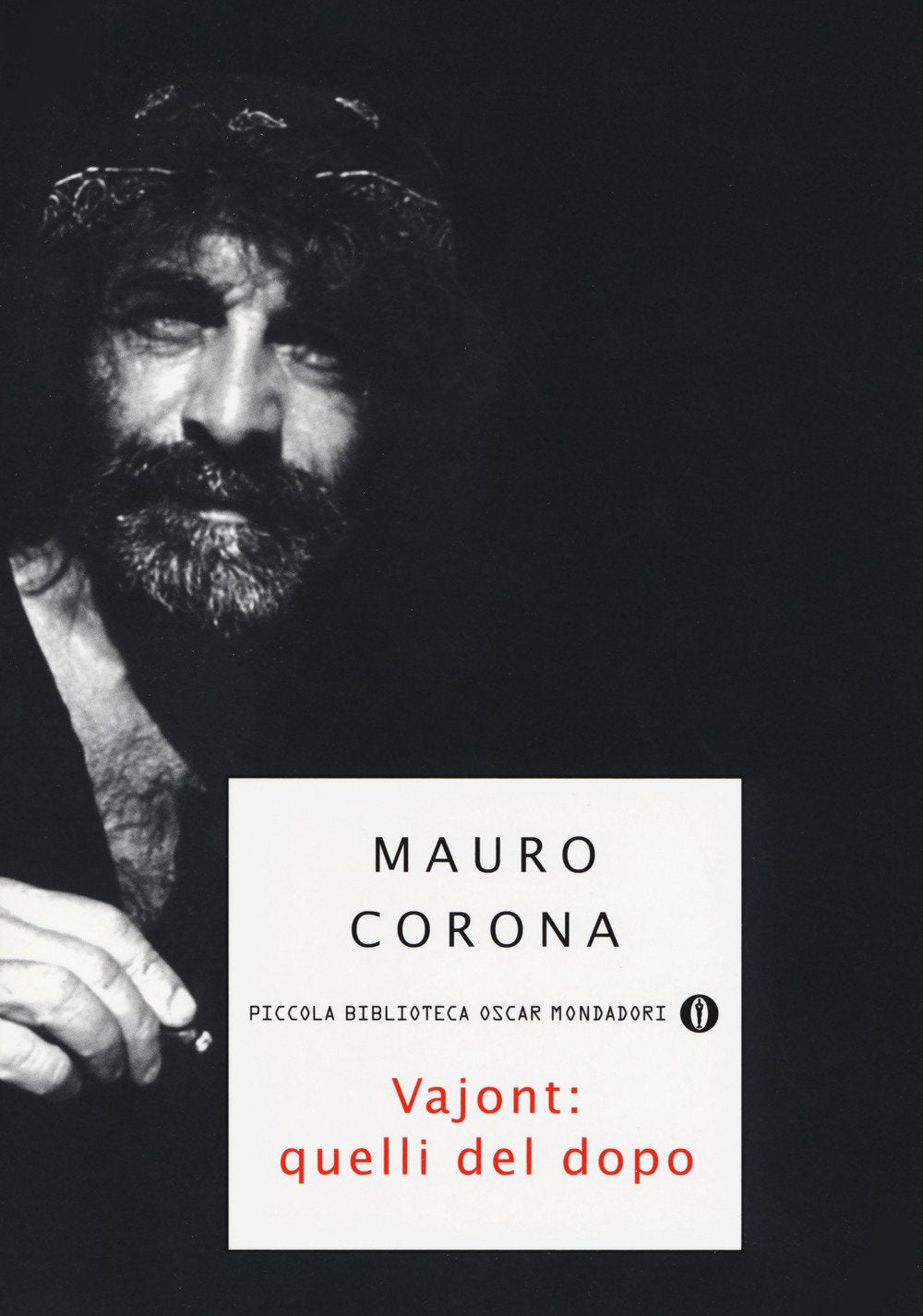 Vajont: quelli del dopo (Piccola biblioteca oscar, Band 468) Books