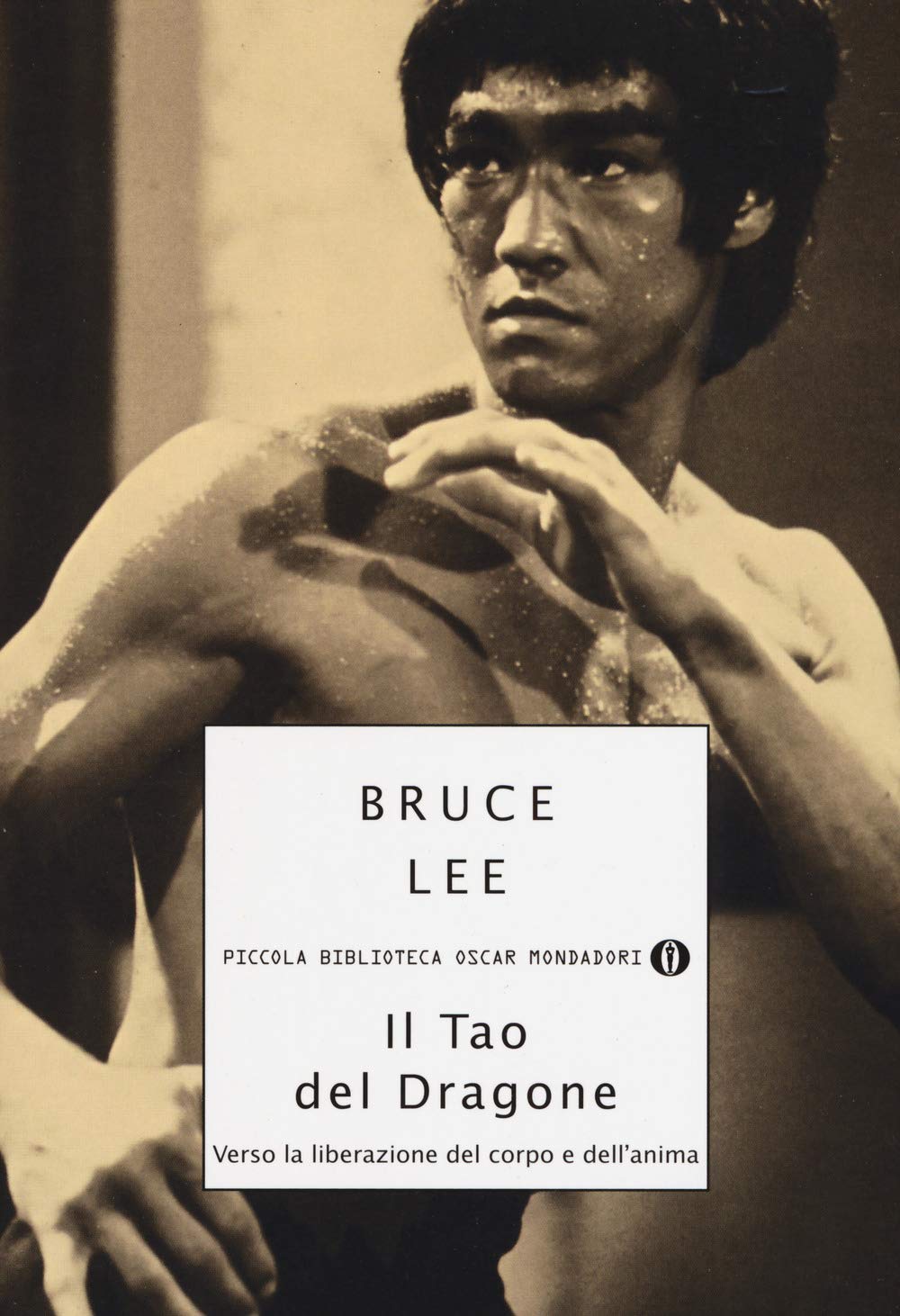 Il tao del dragone. Verso la liberazione del corpo e dell'anima book