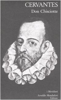 Don Chisciotte della Mancia book