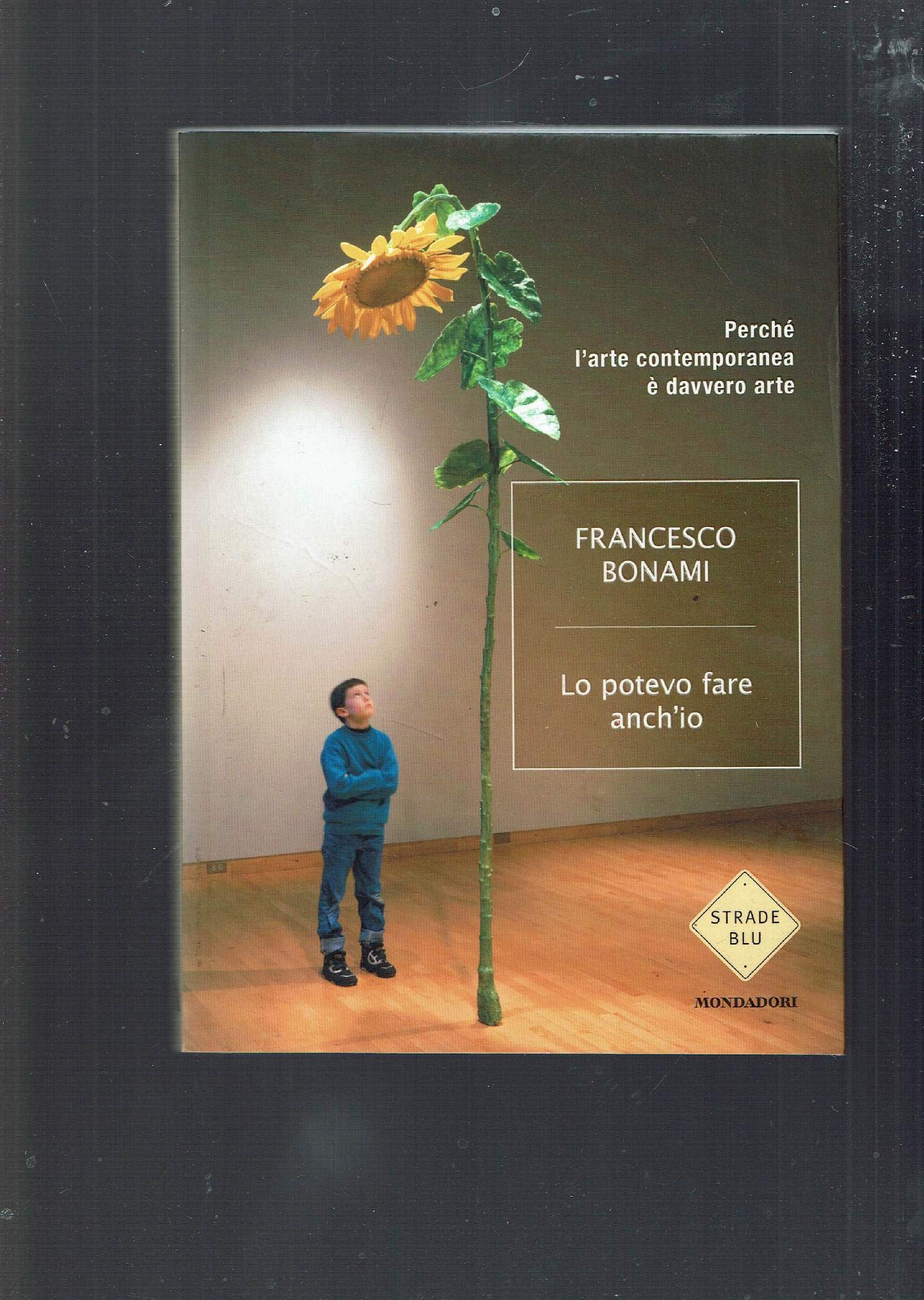 Lo potevo fare anche io. Perché l'arte contemporanea è davvero arte (Strade blu. Non Fiction) Film, Art & Culture