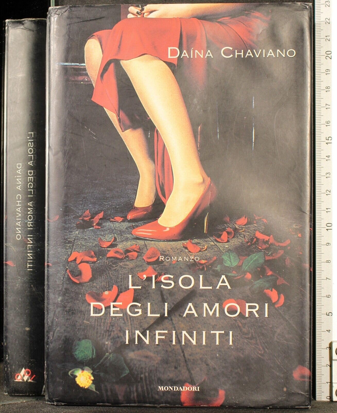 L'isola degli amori infiniti book