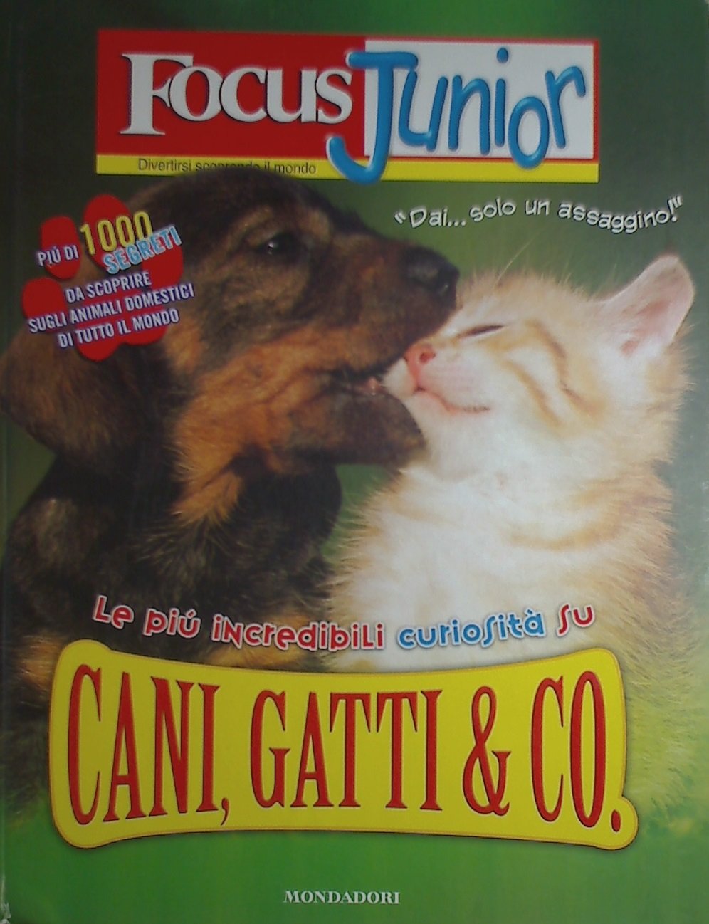 Focus Junior. Le più incredibili curiosità su cani, gatti & co.. Ediz. illustrata Children's books