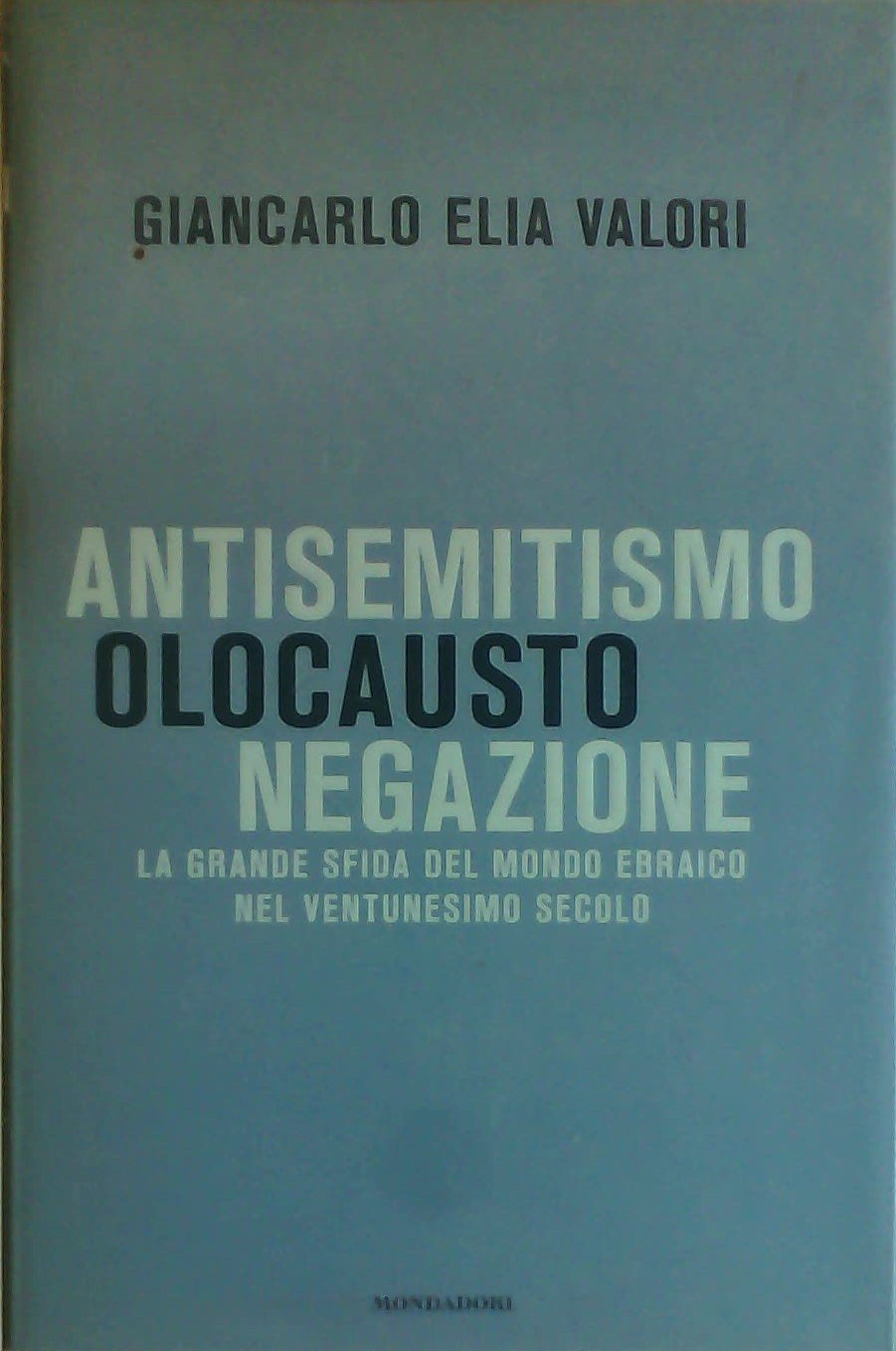 Antisemitismo, olocausto, negazione. La grande sfida del mondo ebraico nel ventunesimo secolo book