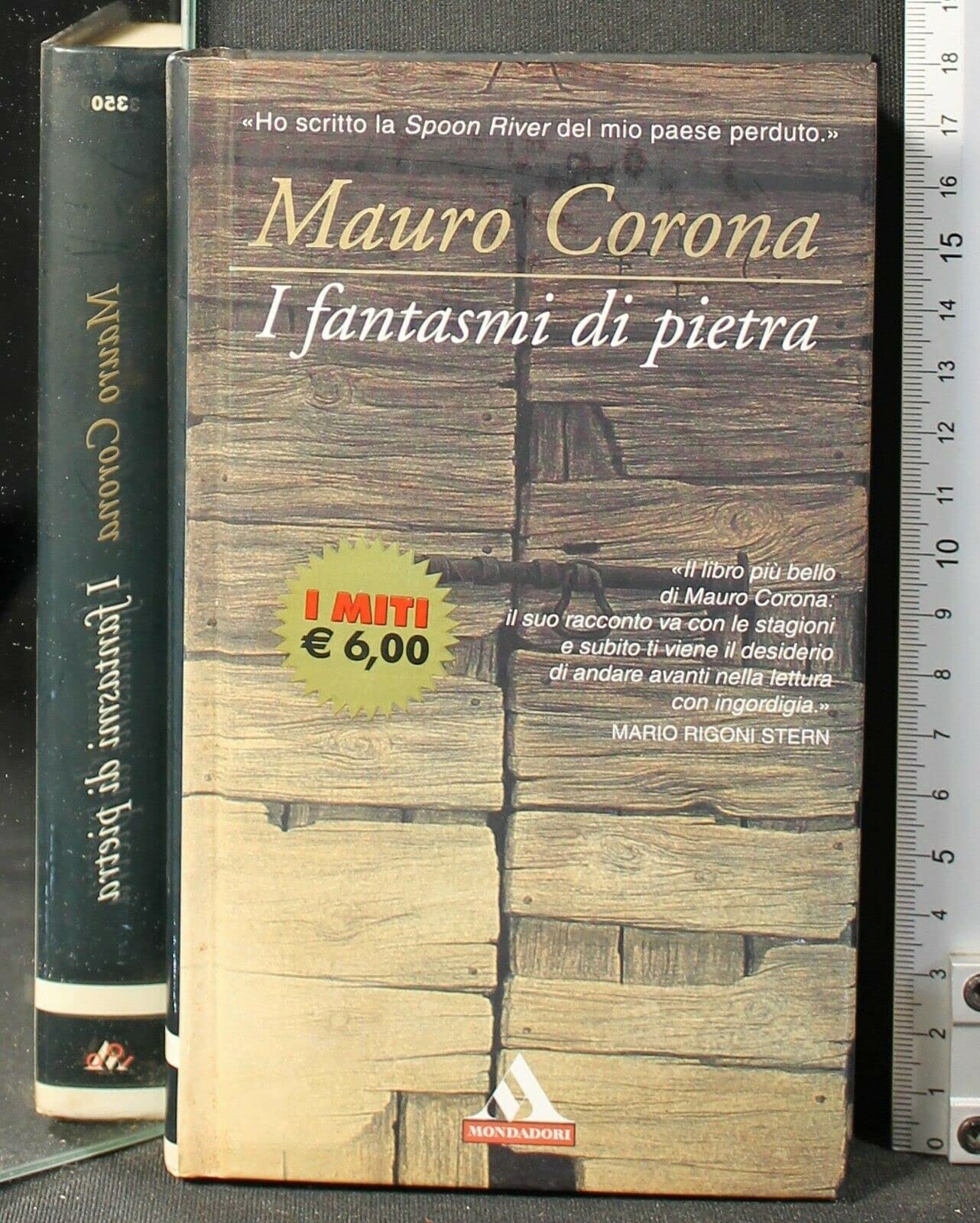 I fantasmi di pietra Contemporary literature