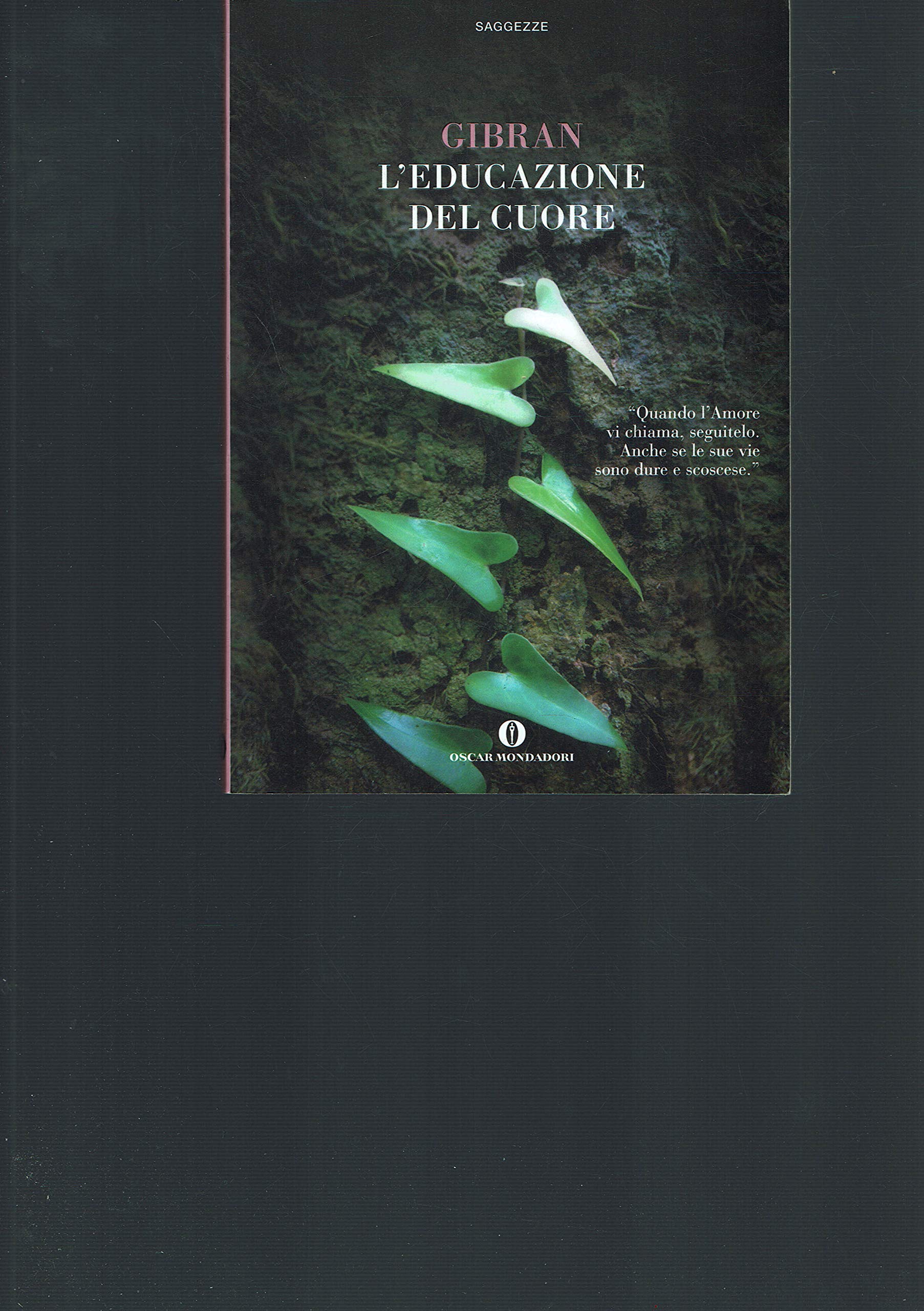 L'educazione del cuore (Oscar saggezze) Contemporary literature
