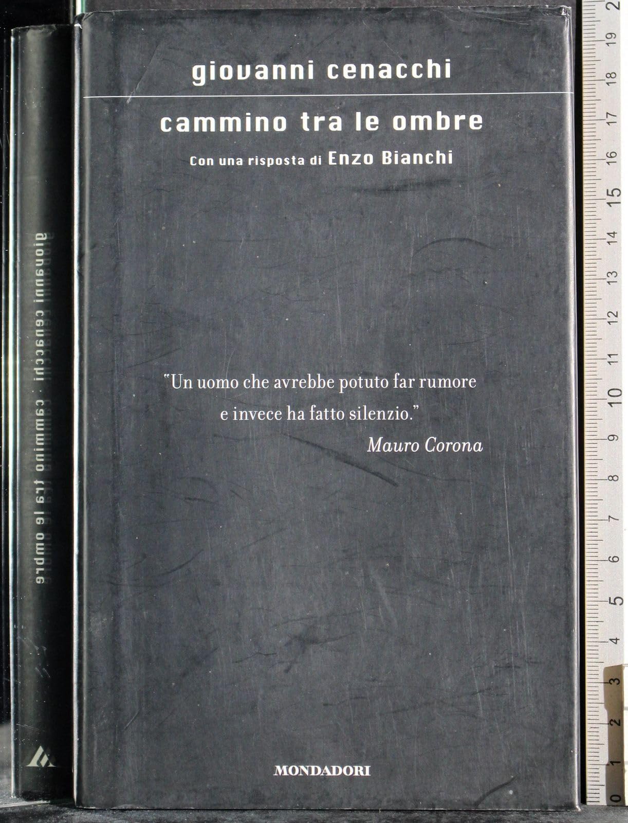 Cammino tra le ombre. Con una risposta di Enzo Bianchi book