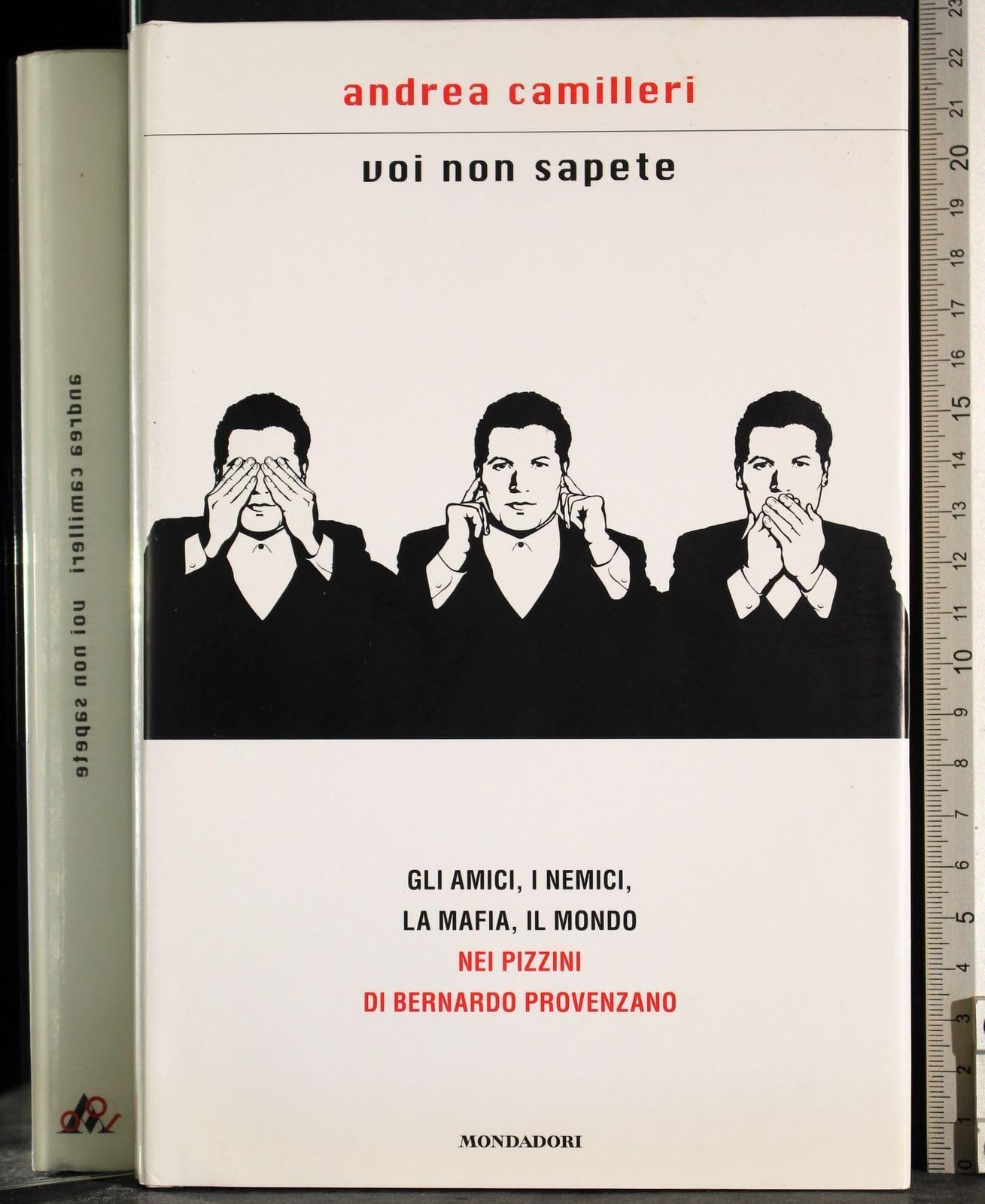 Voi non sapete (Scrittori italiani e stranieri) Social Sciences