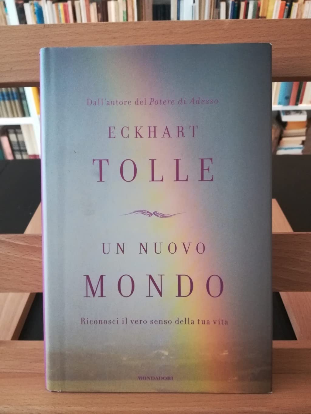 Un nuovo mondo. Riconosci il vero senso della tua vita book