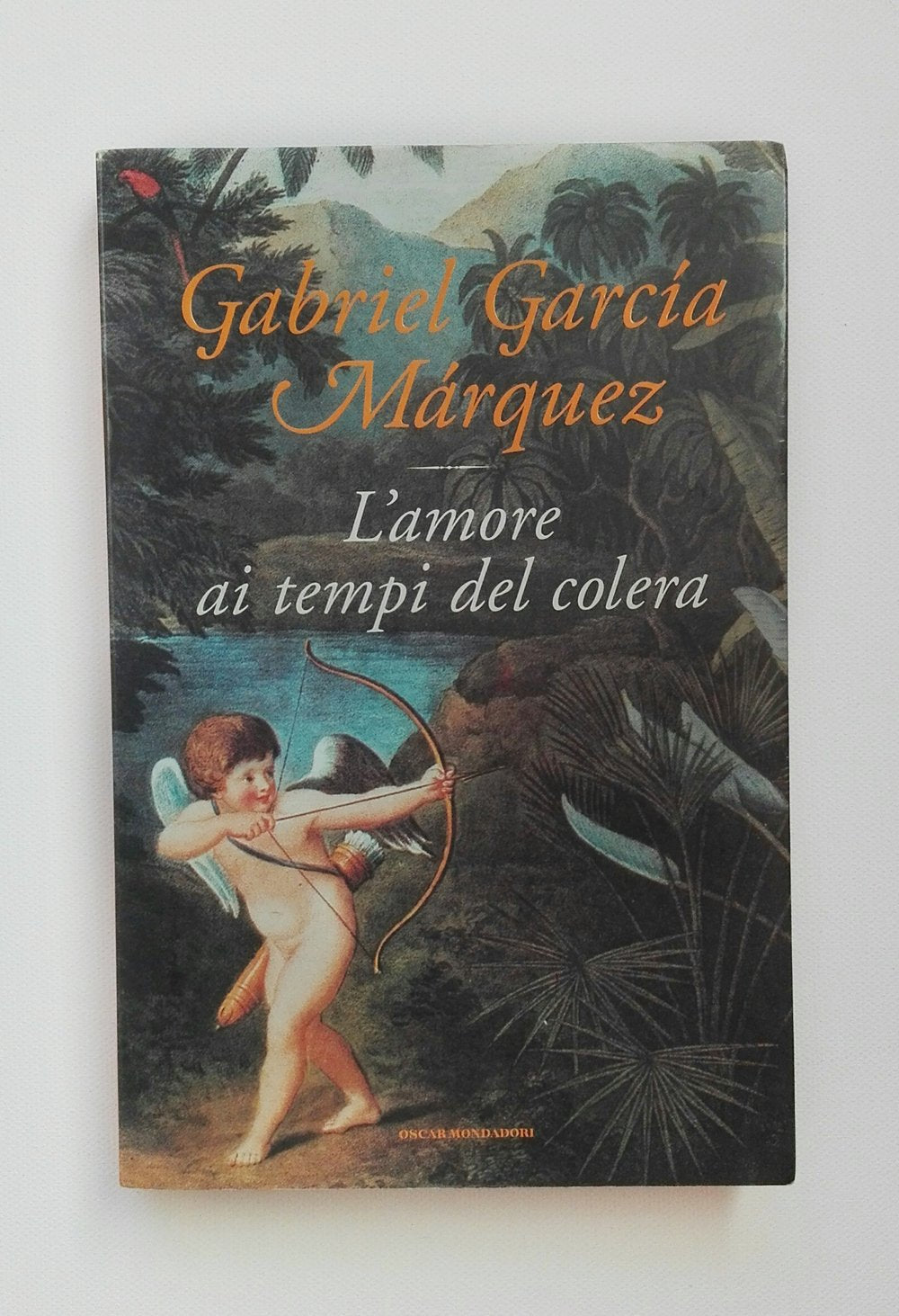 L'amore ai tempi del colera Contemporary literature