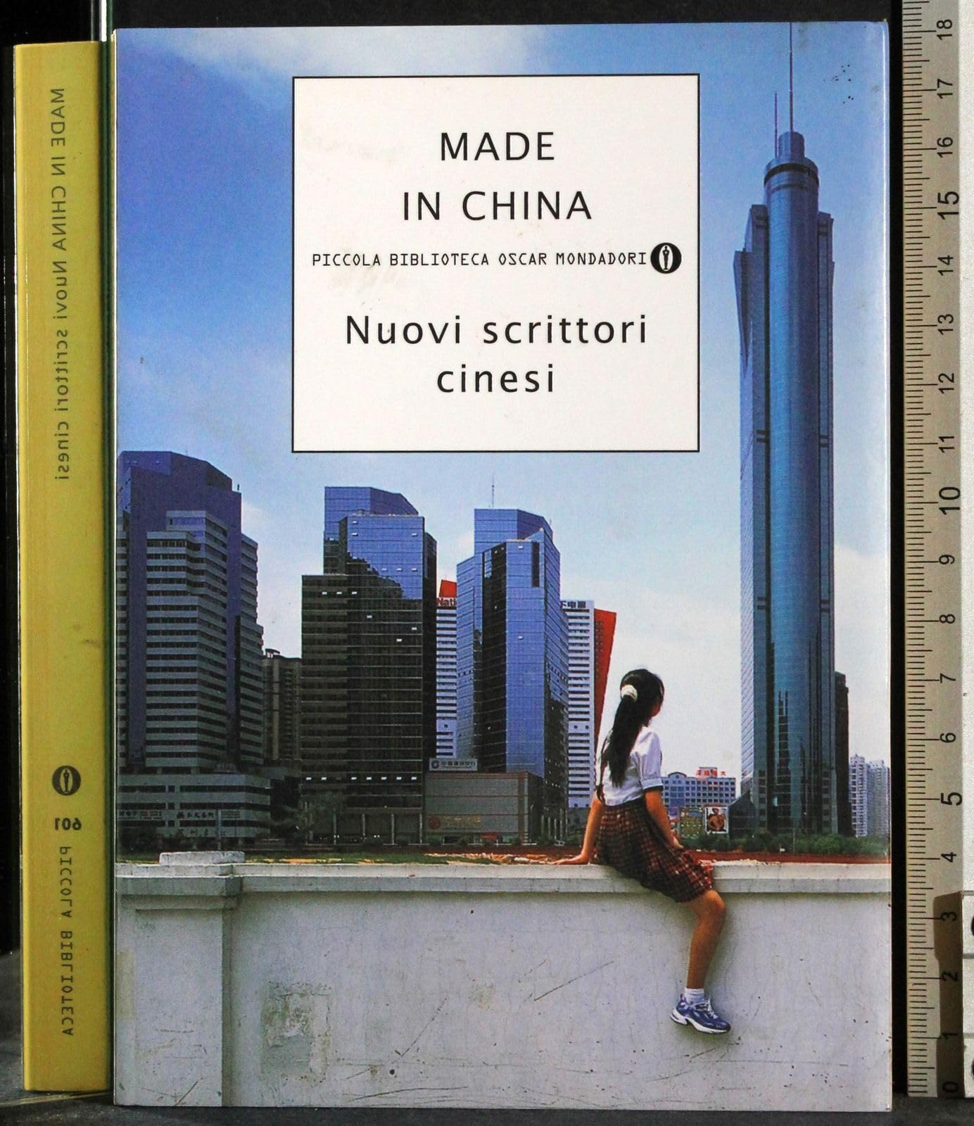 Made in China. Nuovi scrittori cinesi (Piccola biblioteca oscar, Band 601) Contemporary literature