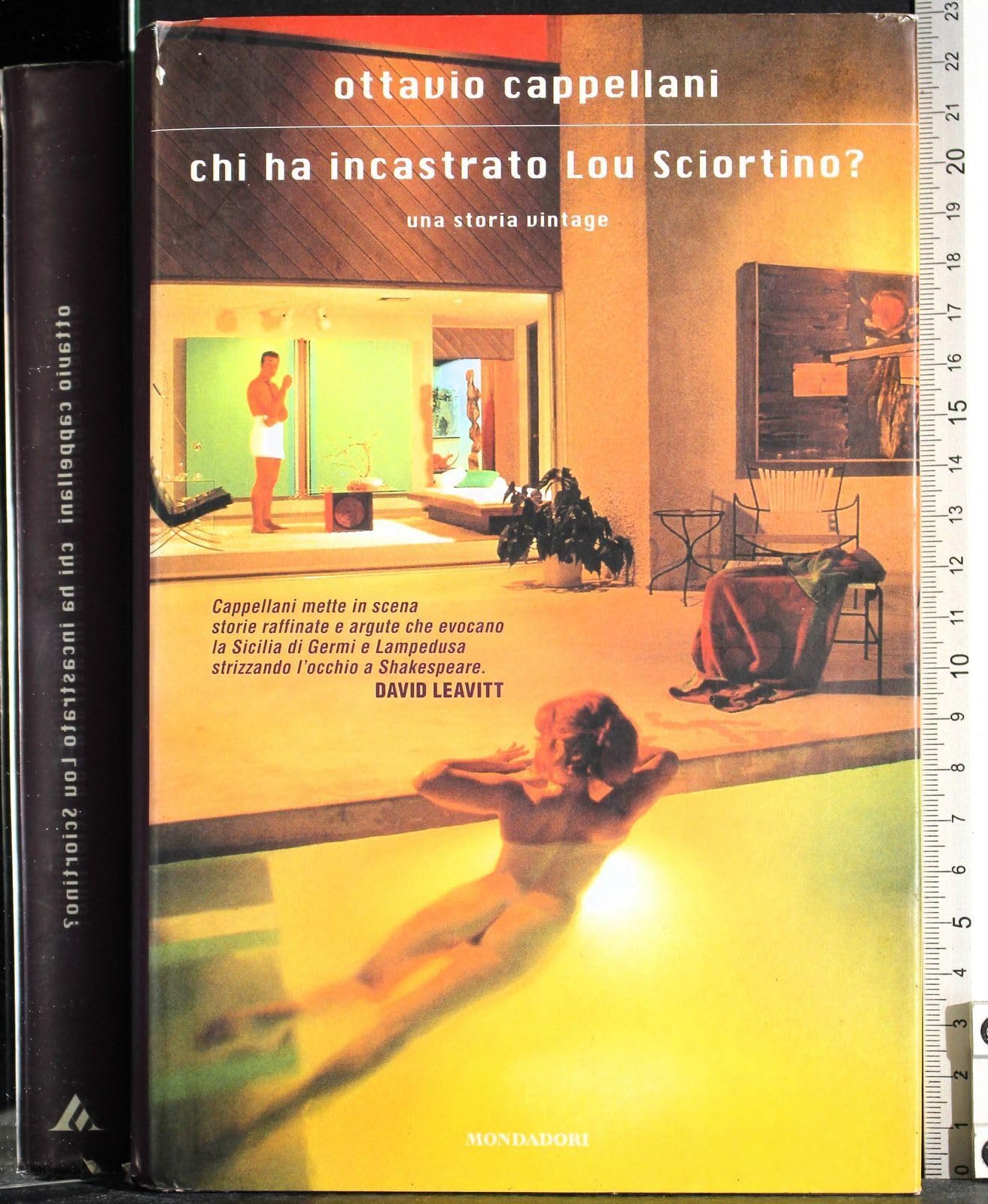 Chi ha incastrato Lou Sciortino? Una storia vintage book