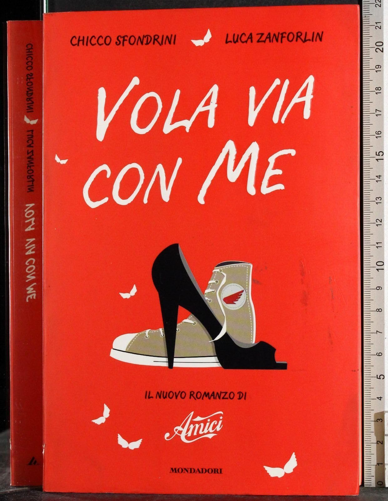 Vola via con me. Il nuovo romanzo di «Amici» Contemporary literature