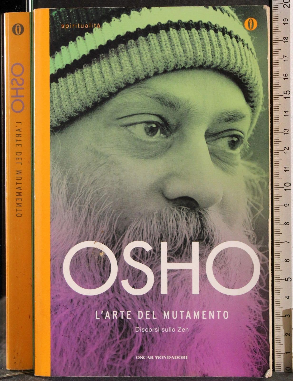 L'arte del mutamento. Discorsi sullo zen book
