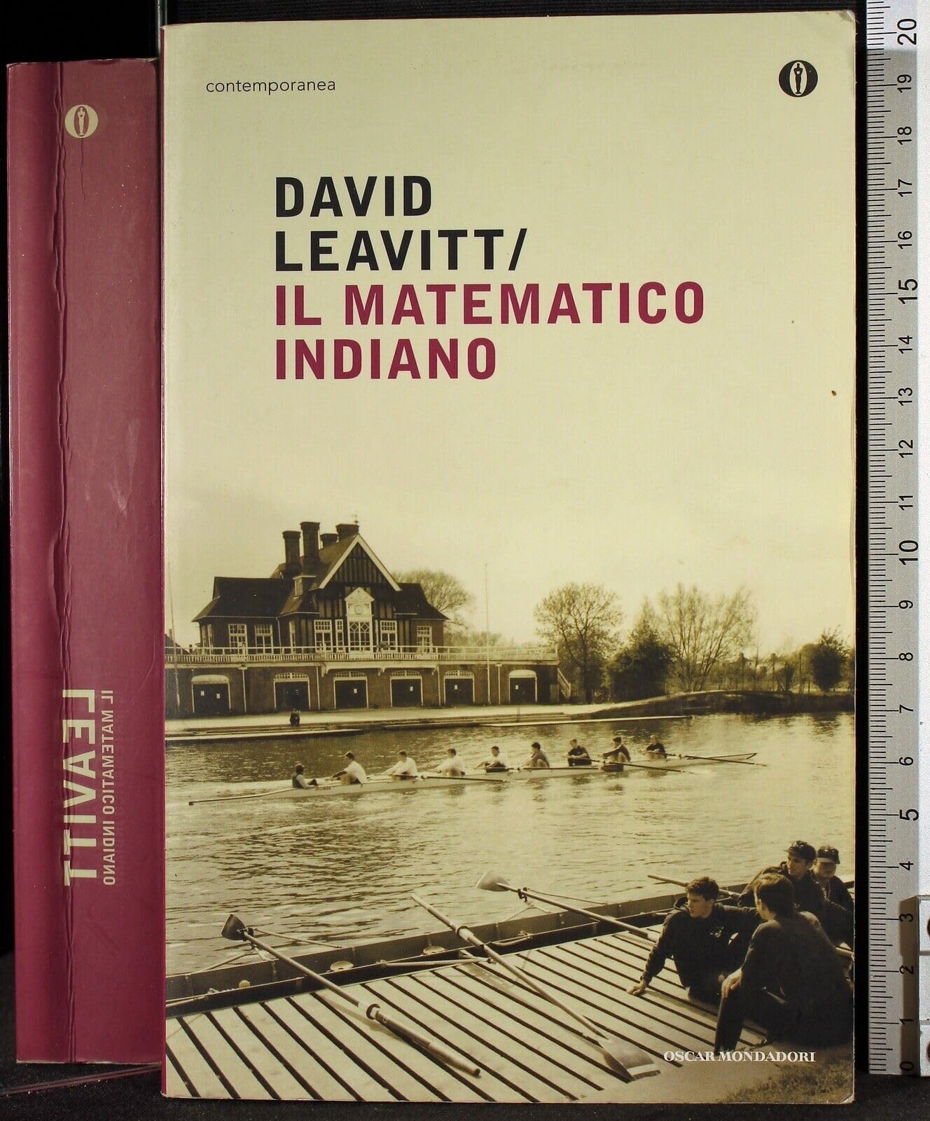 Il matematico indiano (Oscar contemporanea) Contemporary literature