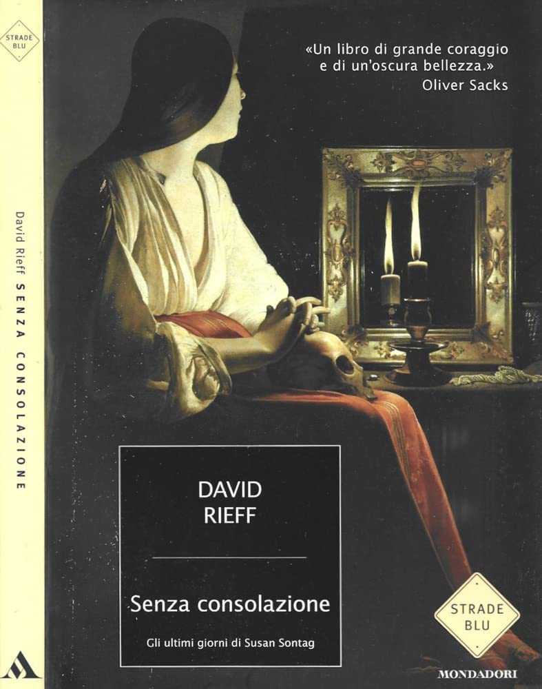 Senza consolazione. Gli ultimi giorni di Susan Sontag book