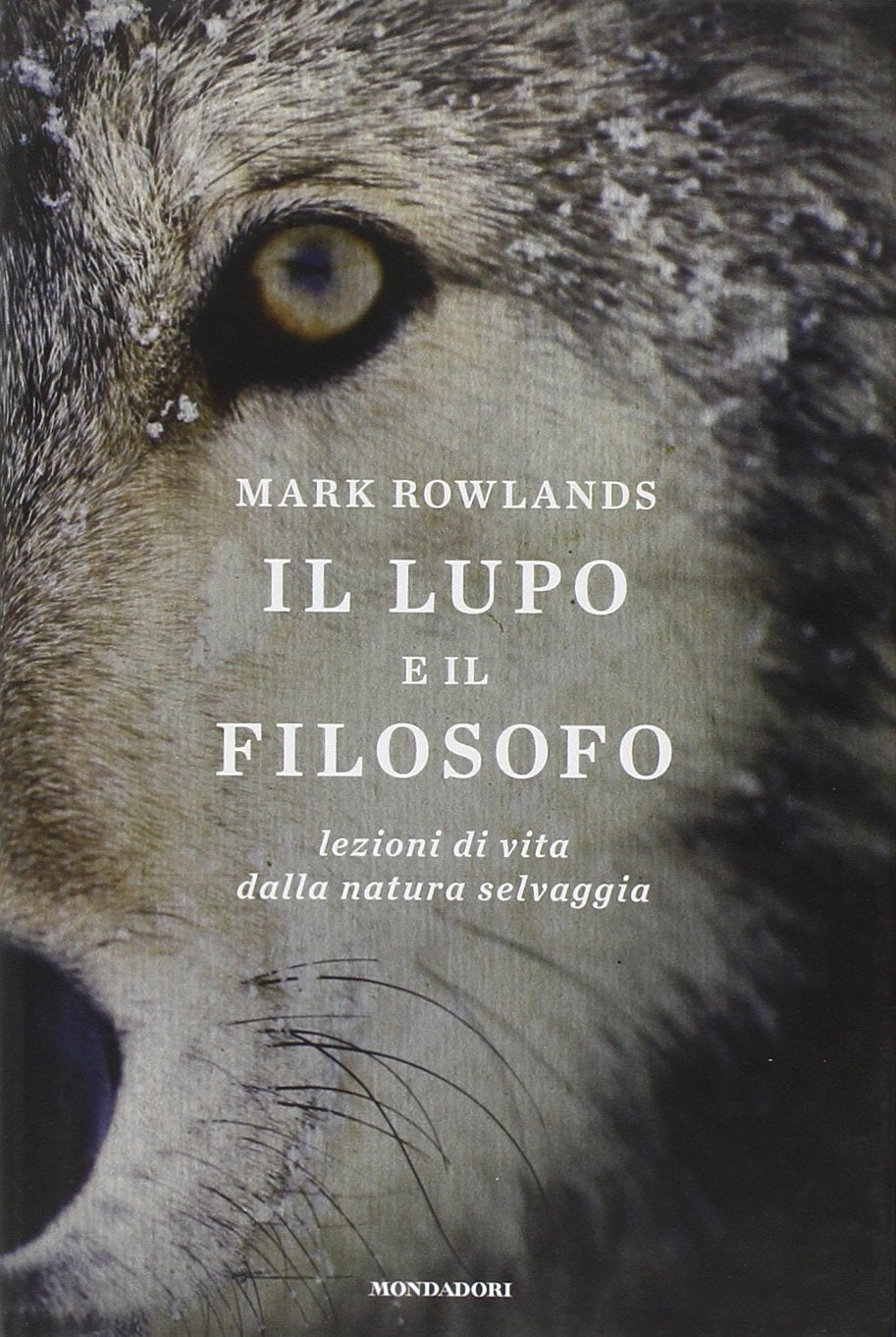 Il lupo e il filosofo. Lezioni di vita dalla natura selvaggia Philosophy