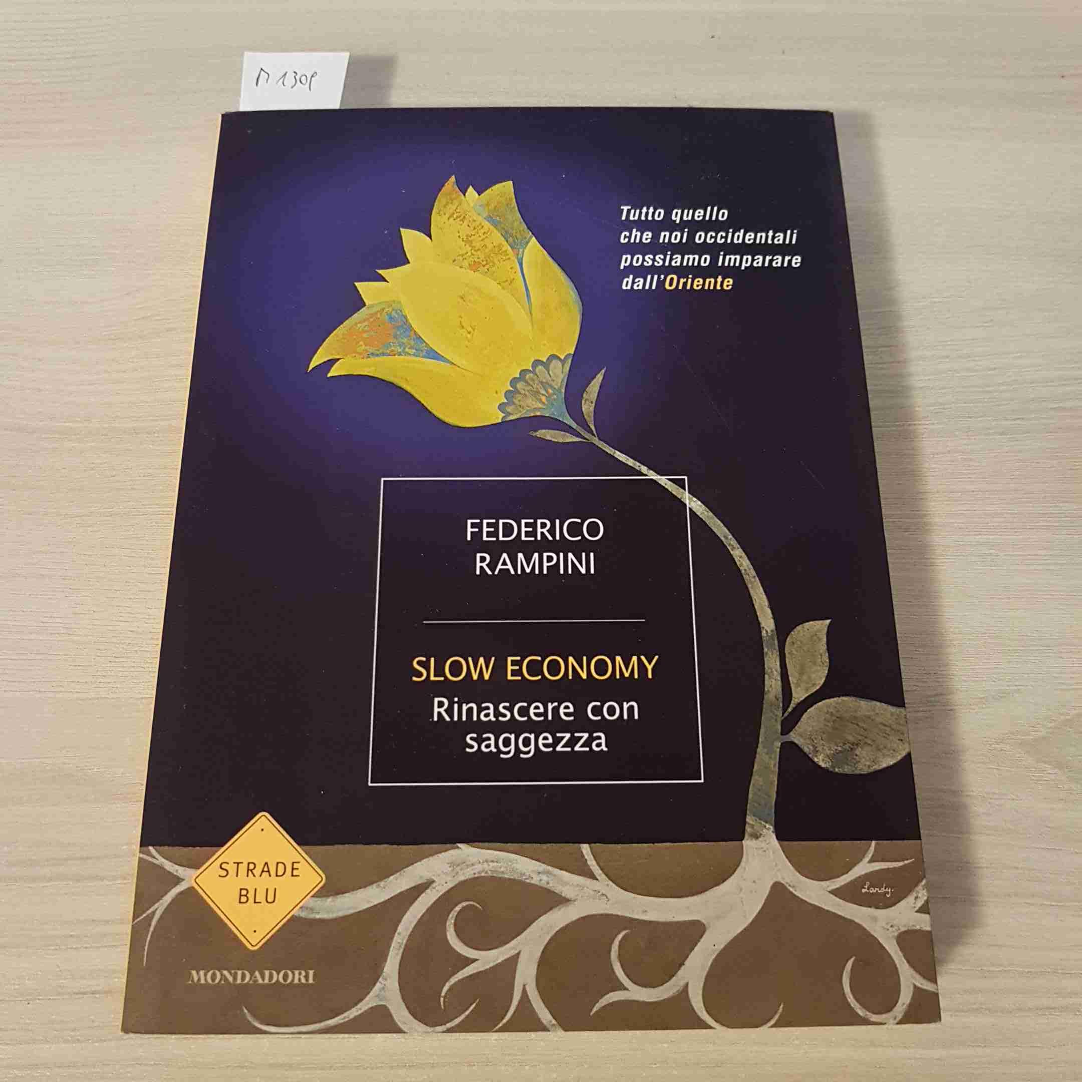 Slow economy. Rinascere con saggezza (Strade blu. Non Fiction) Business, Finance & Career